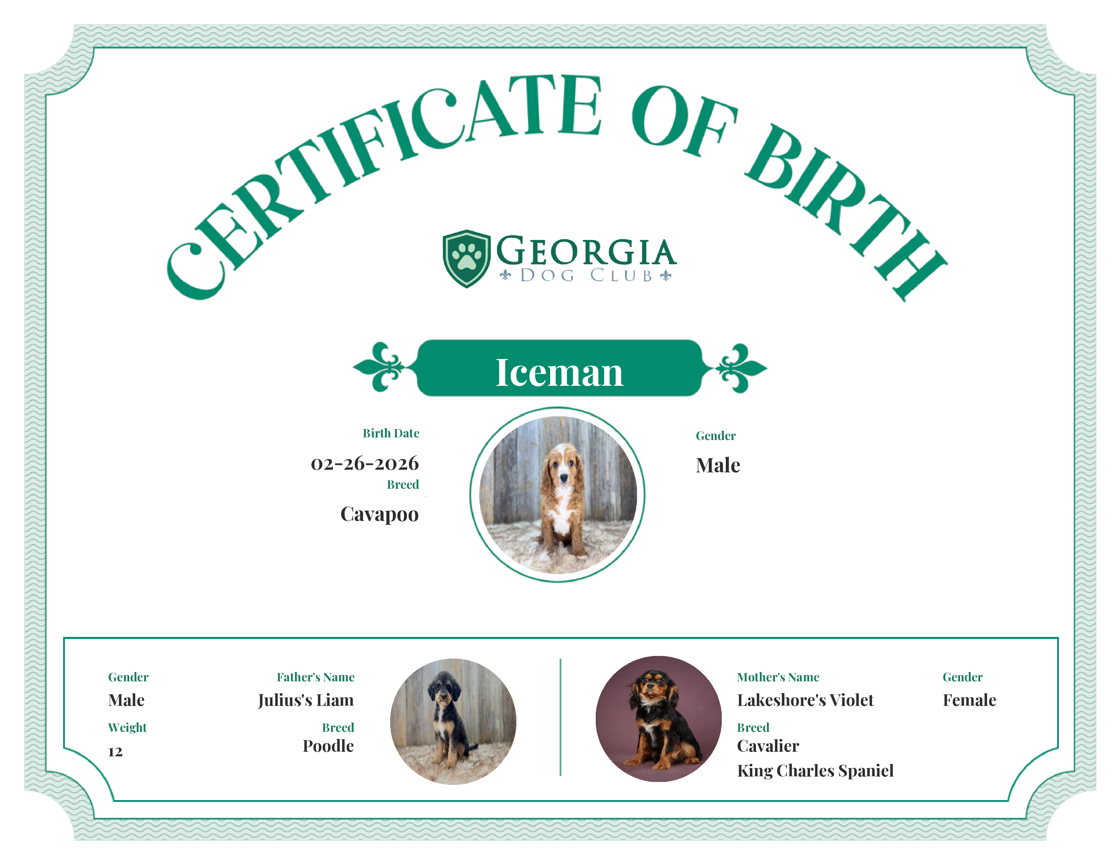 Iceman's Birth Certificate