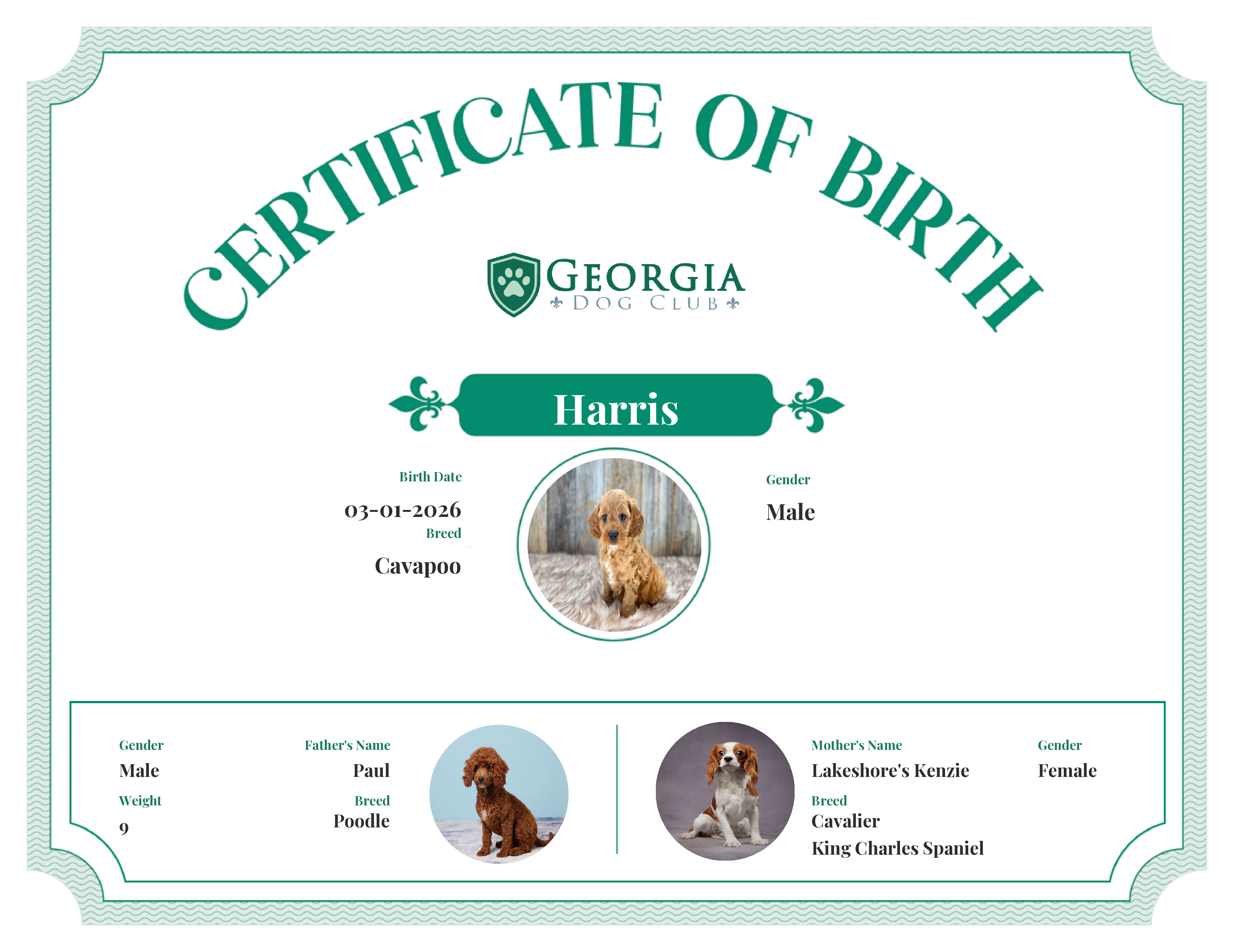 Harris's Birth Certificate