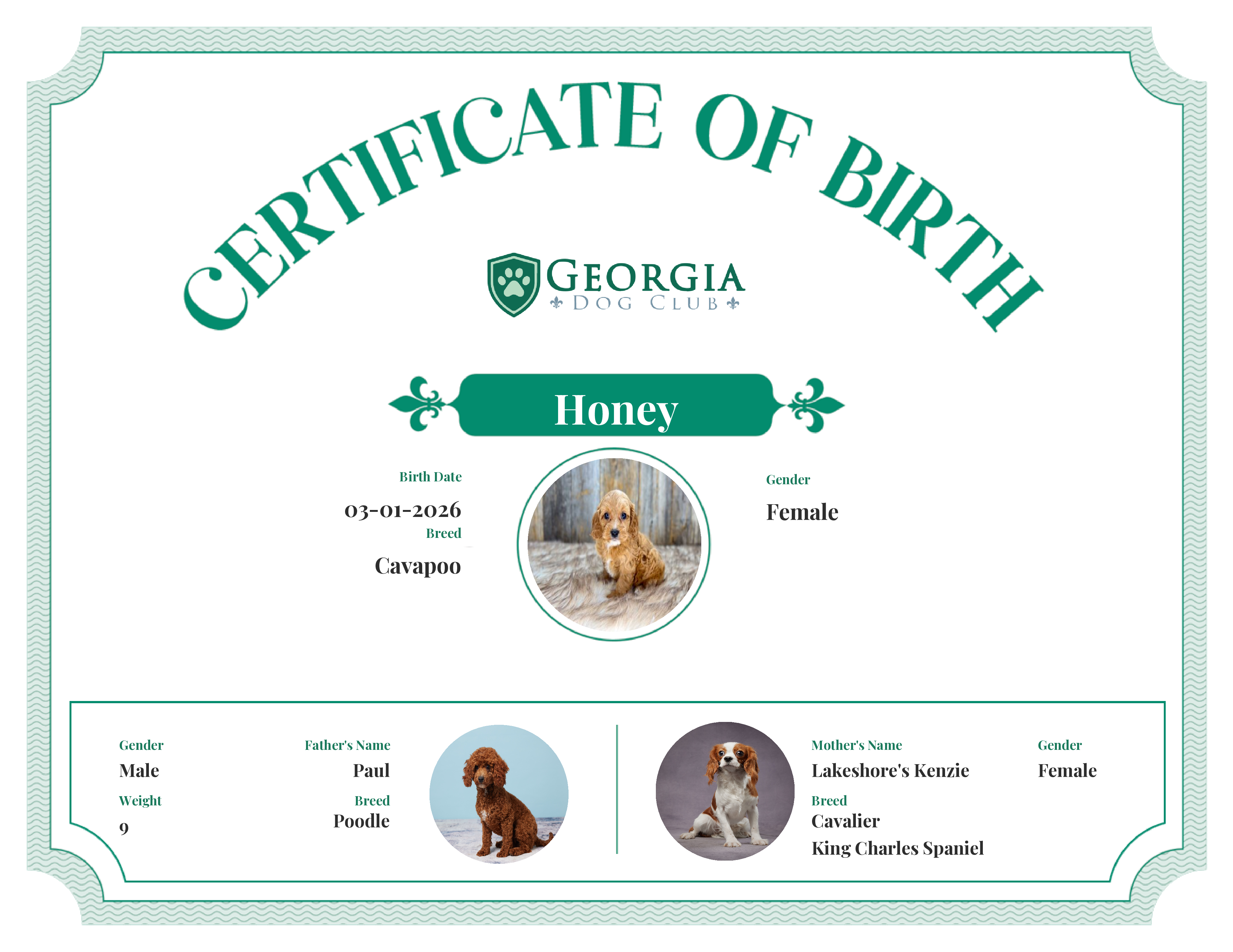Honey's Birth Certificate