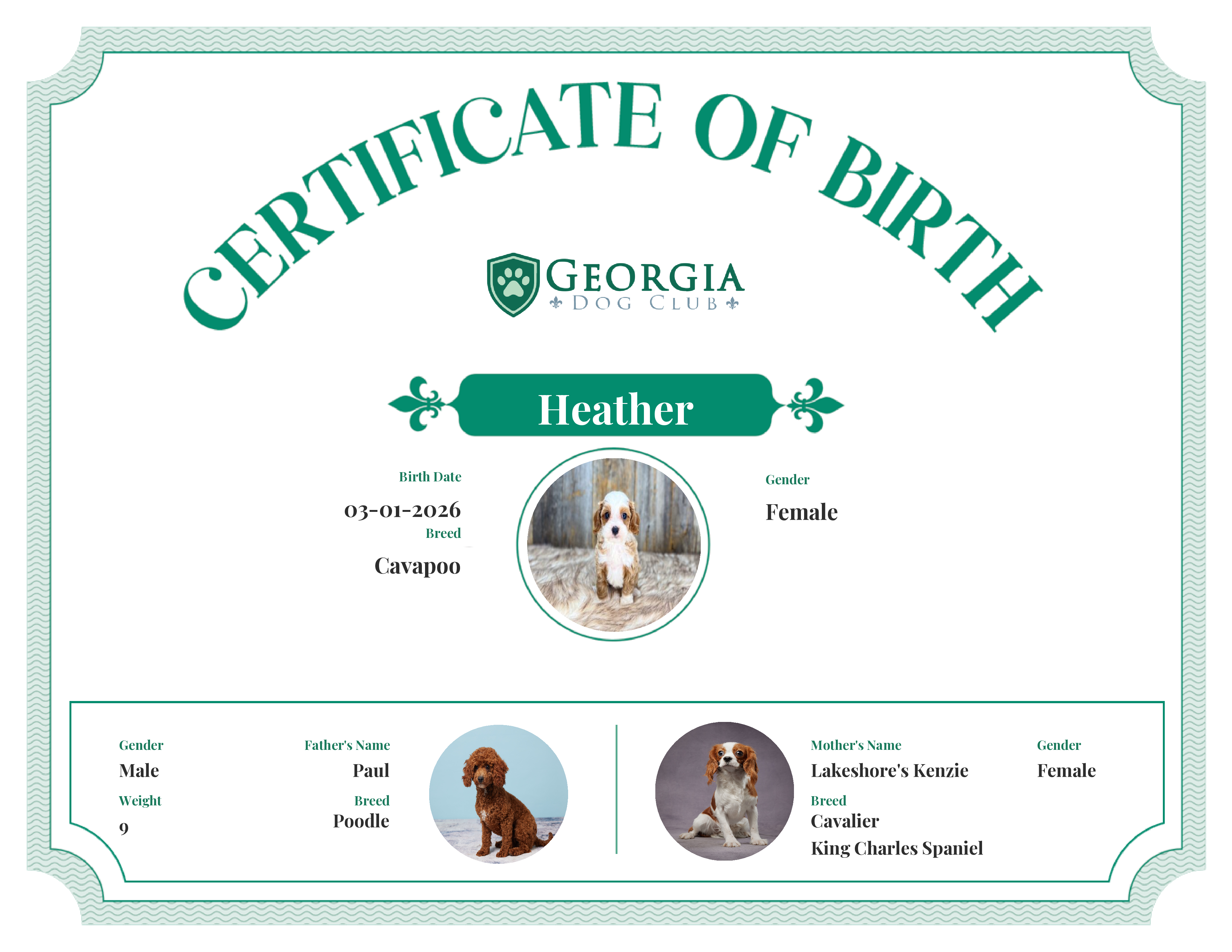 Heather's Birth Certificate