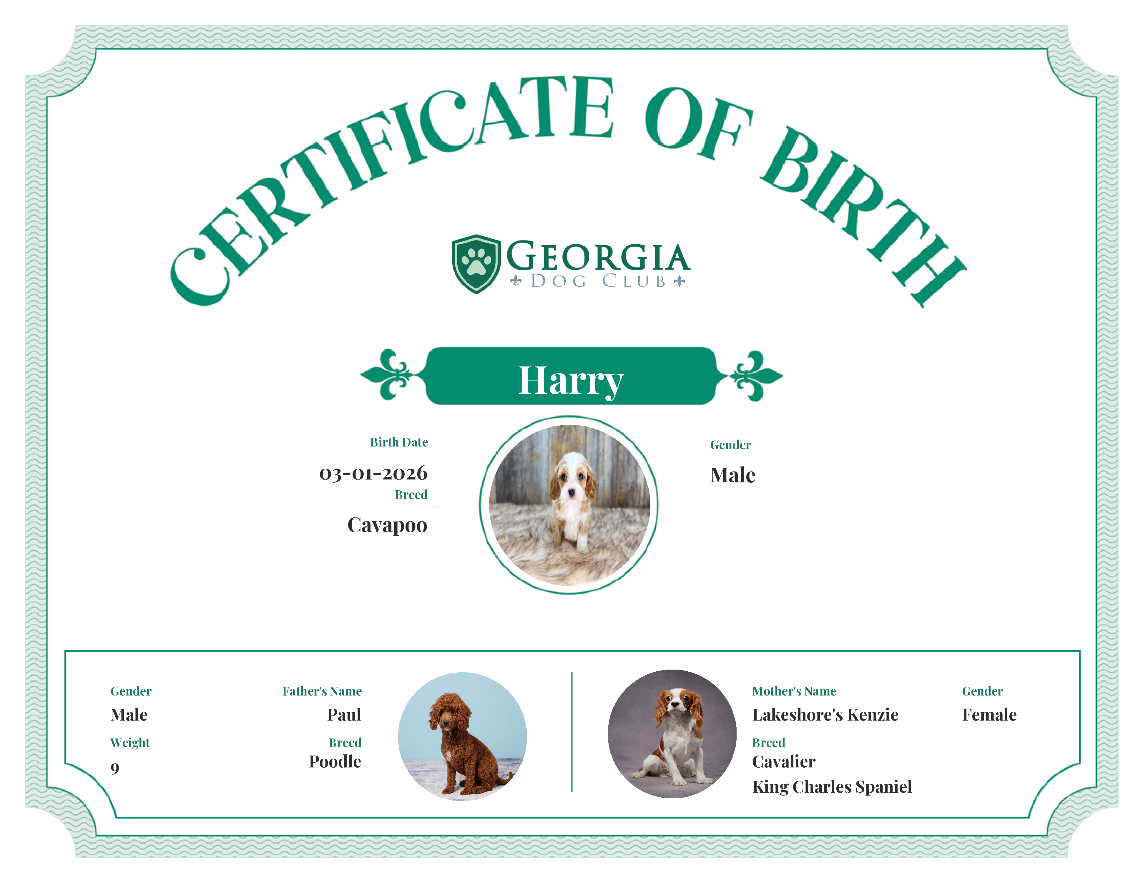 Harry's Birth Certificate