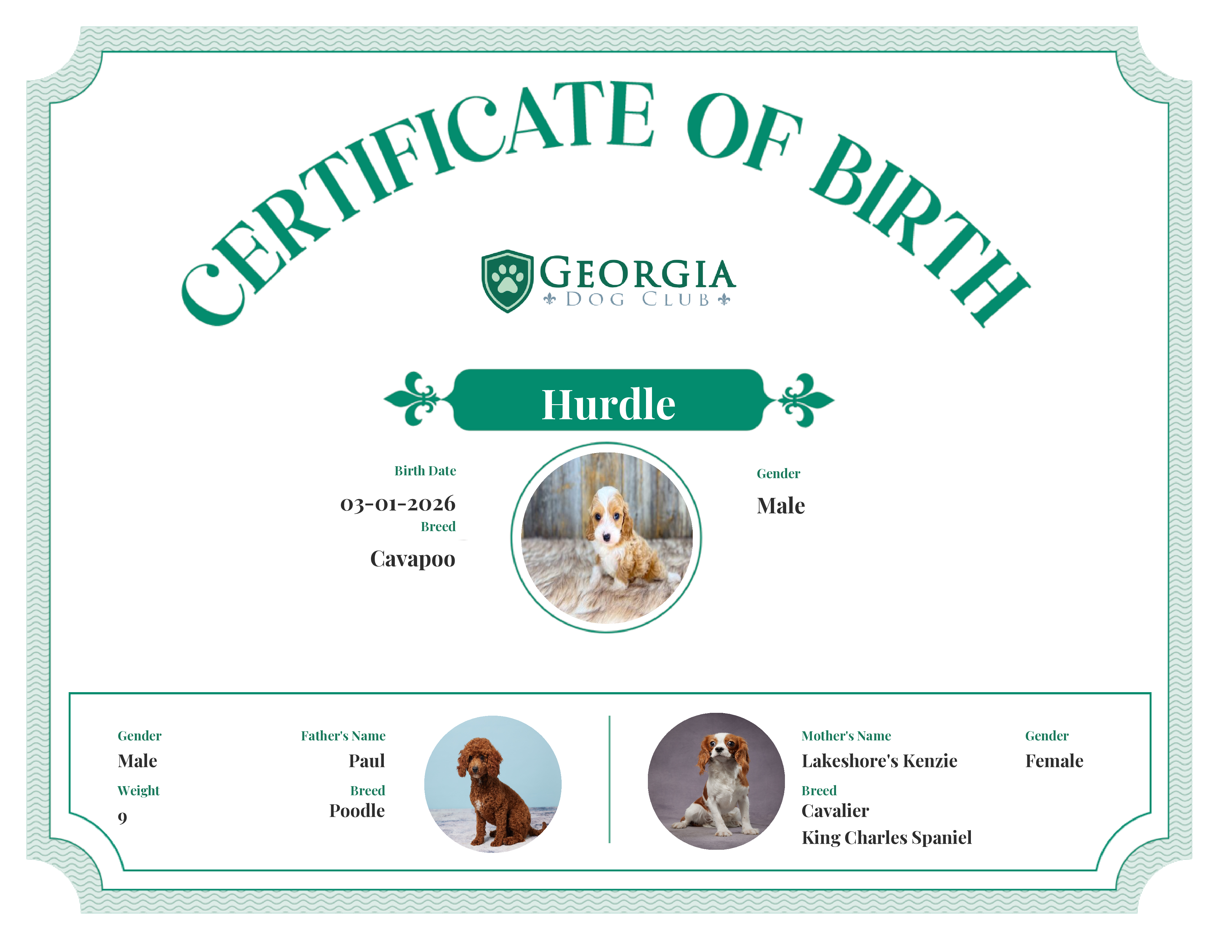 Hurdle's Birth Certificate