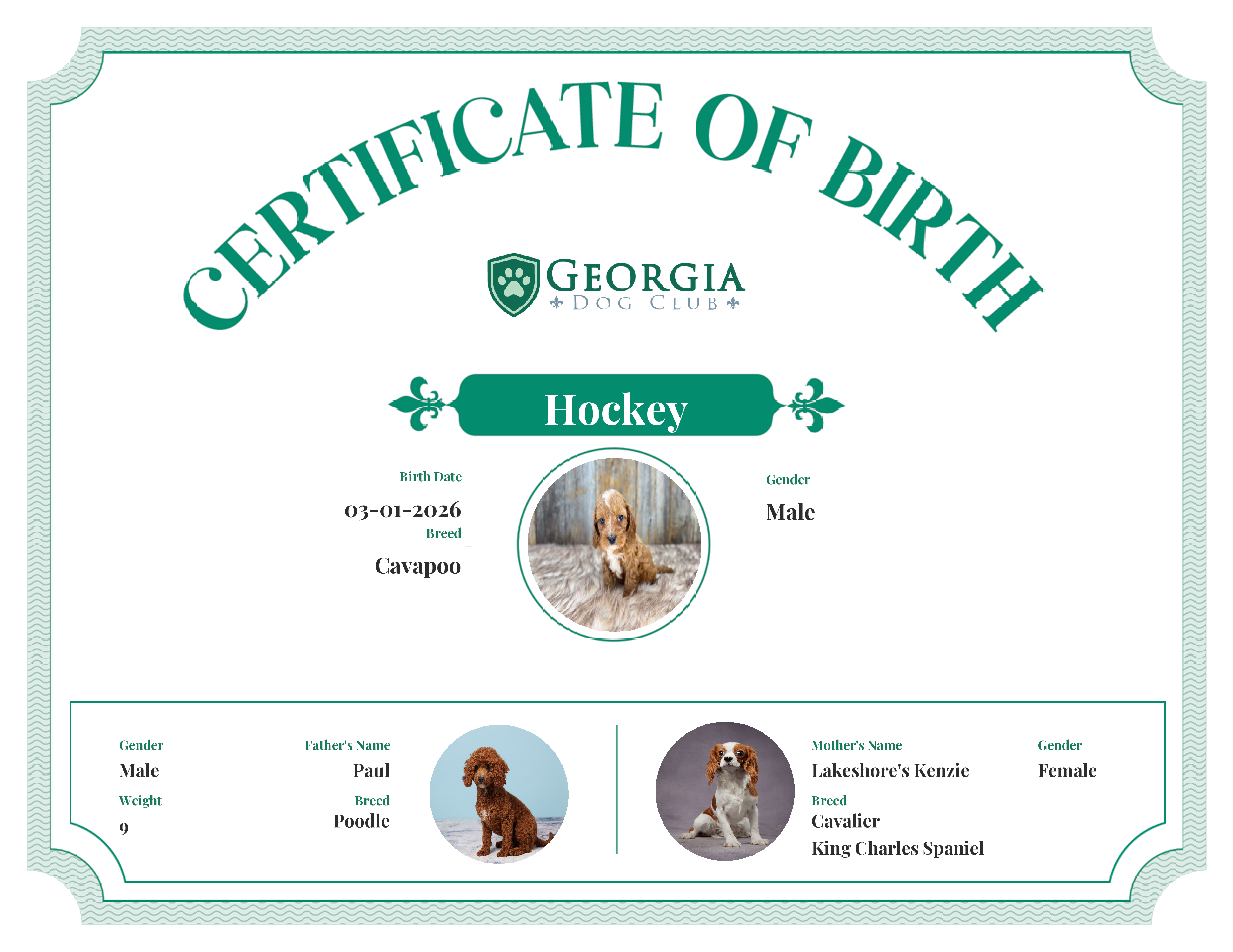 Hockey's Birth Certificate
