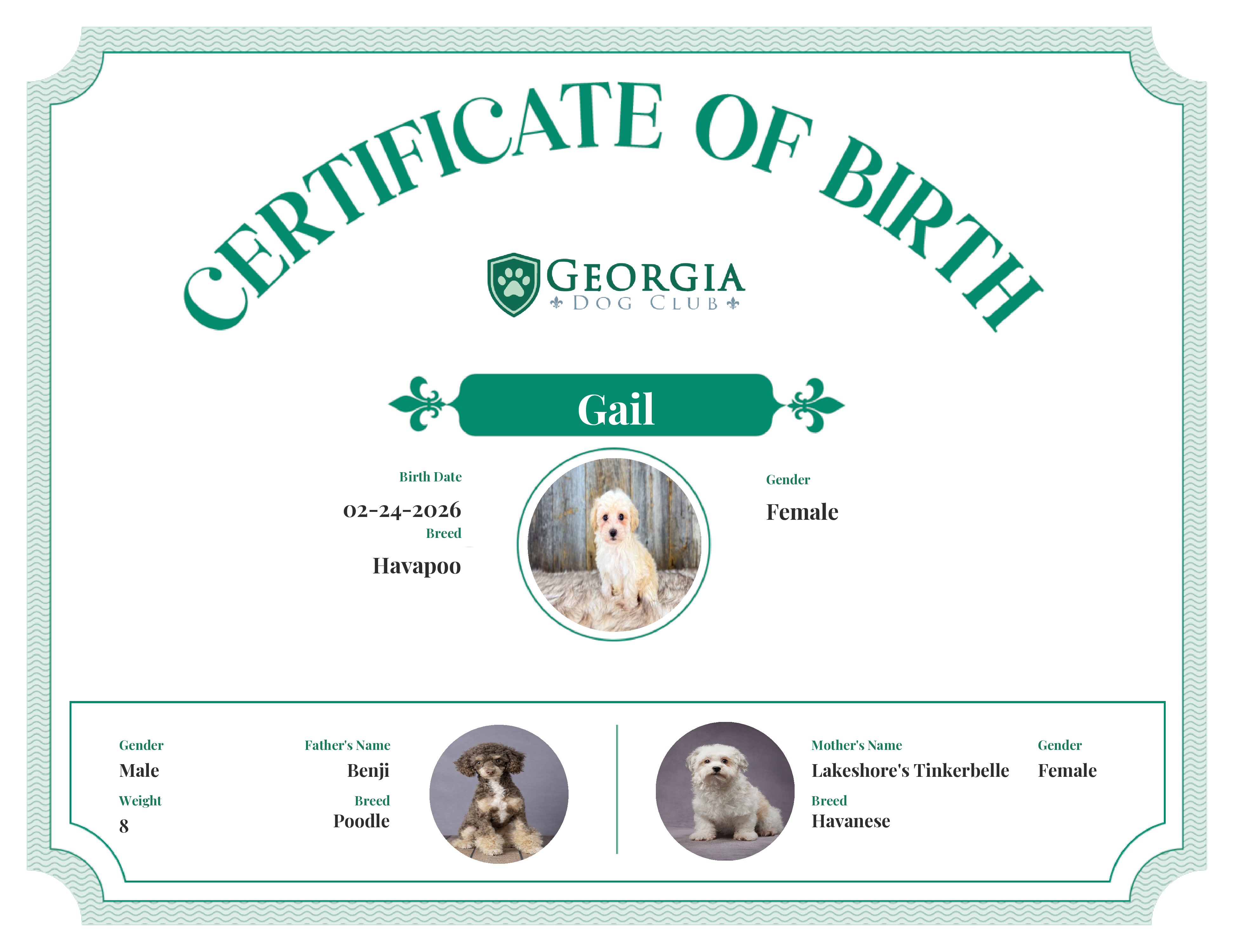 Gail's Birth Certificate