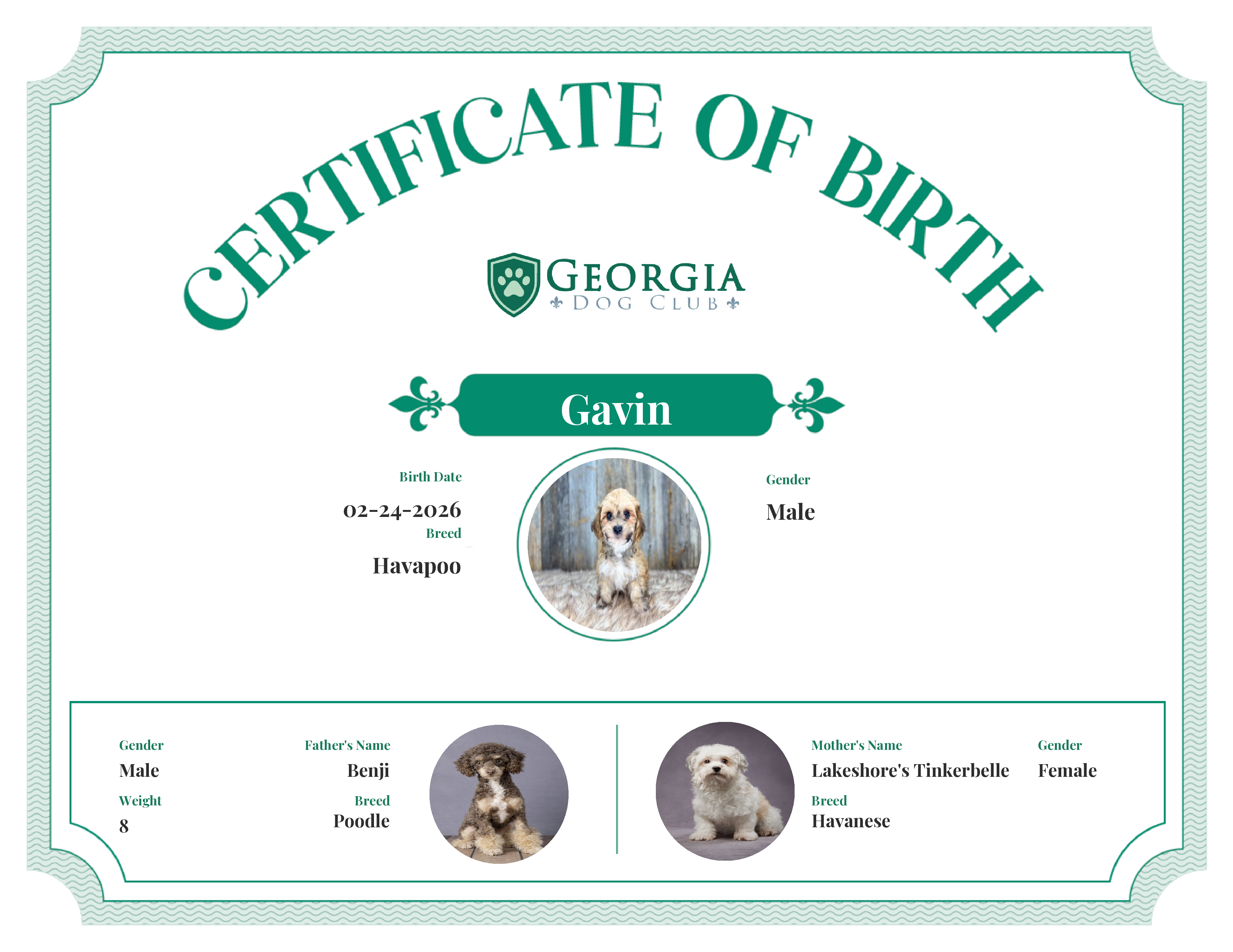 Gavin's Birth Certificate