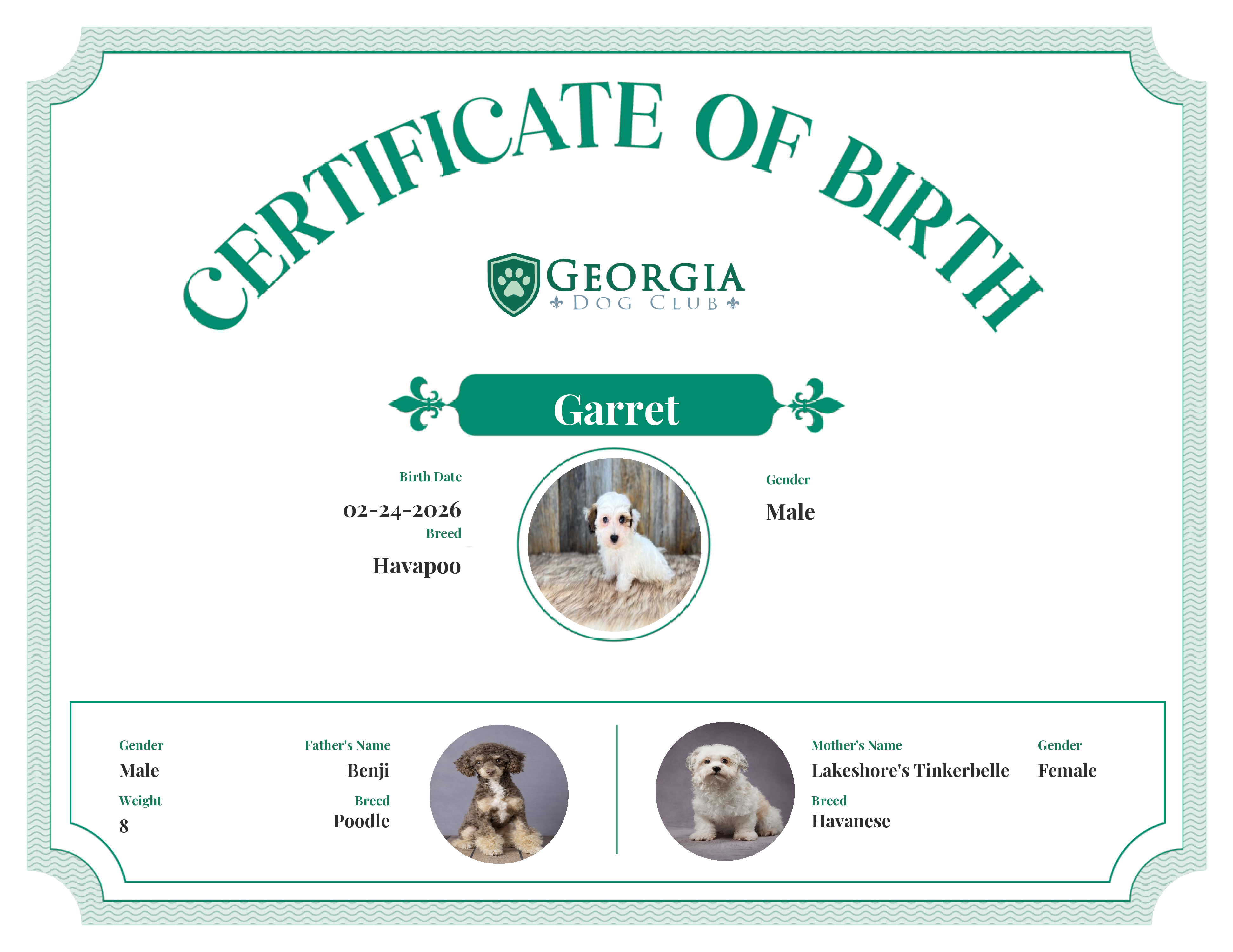 Garret's Birth Certificate