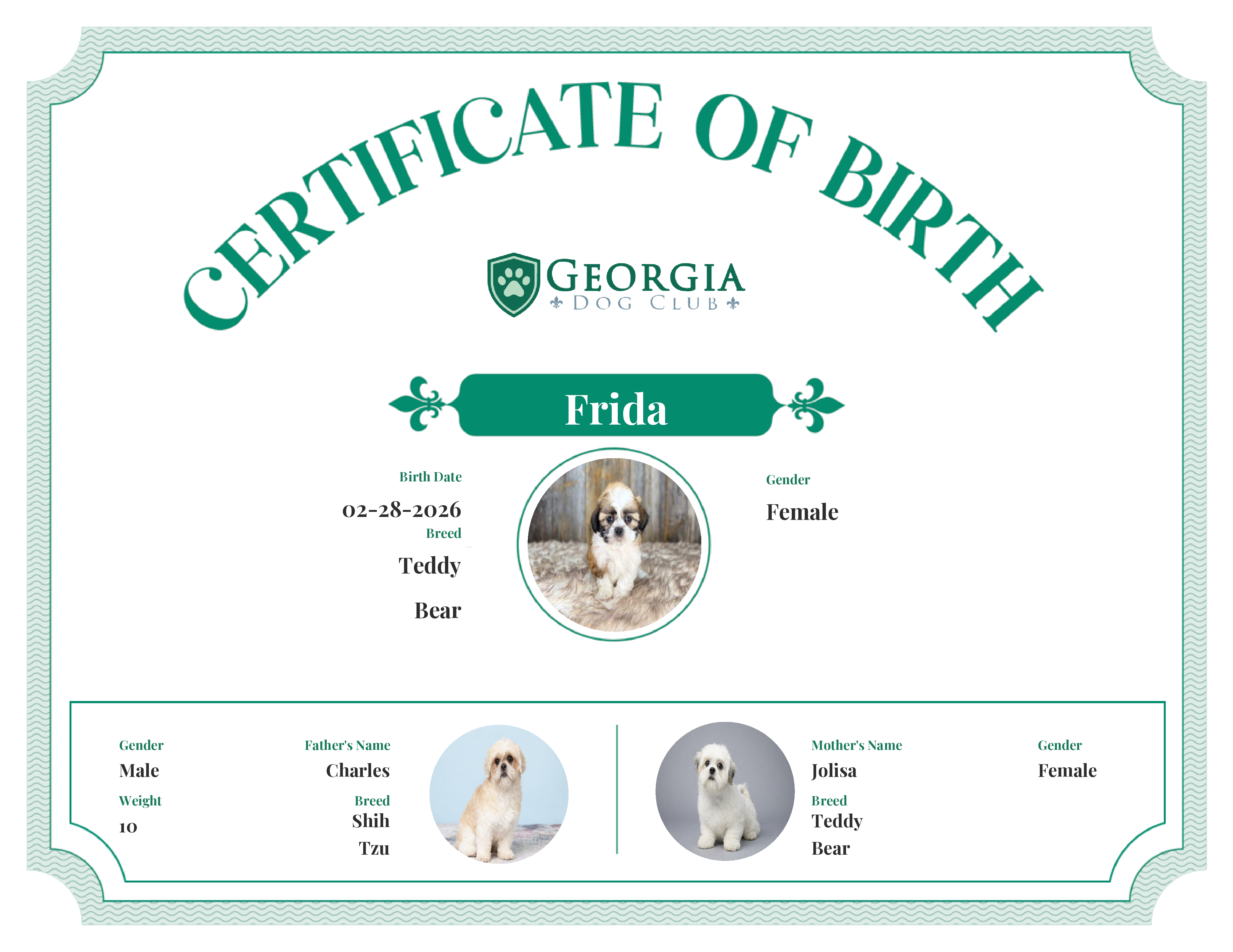 Frida's Birth Certificate