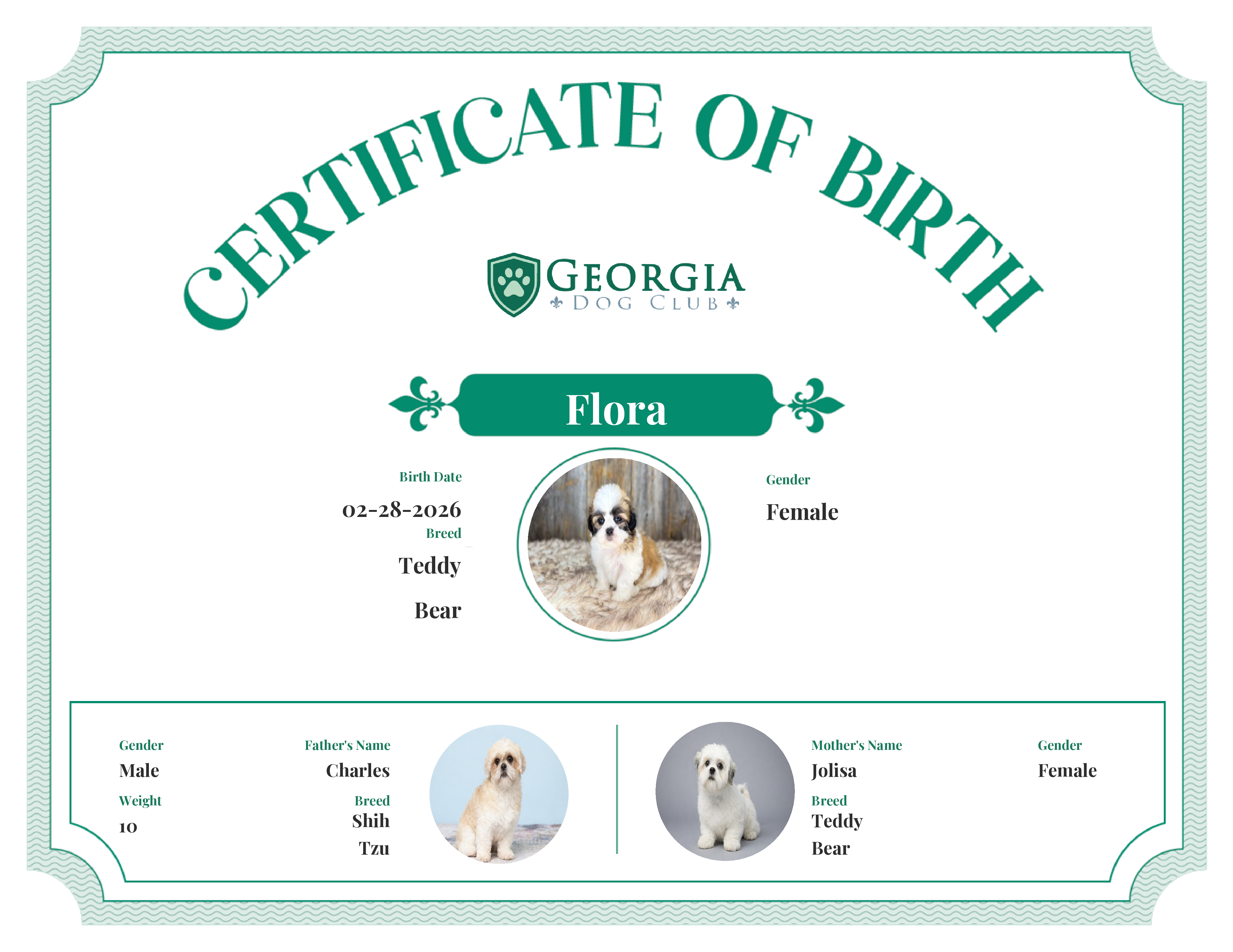 Flora's Birth Certificate