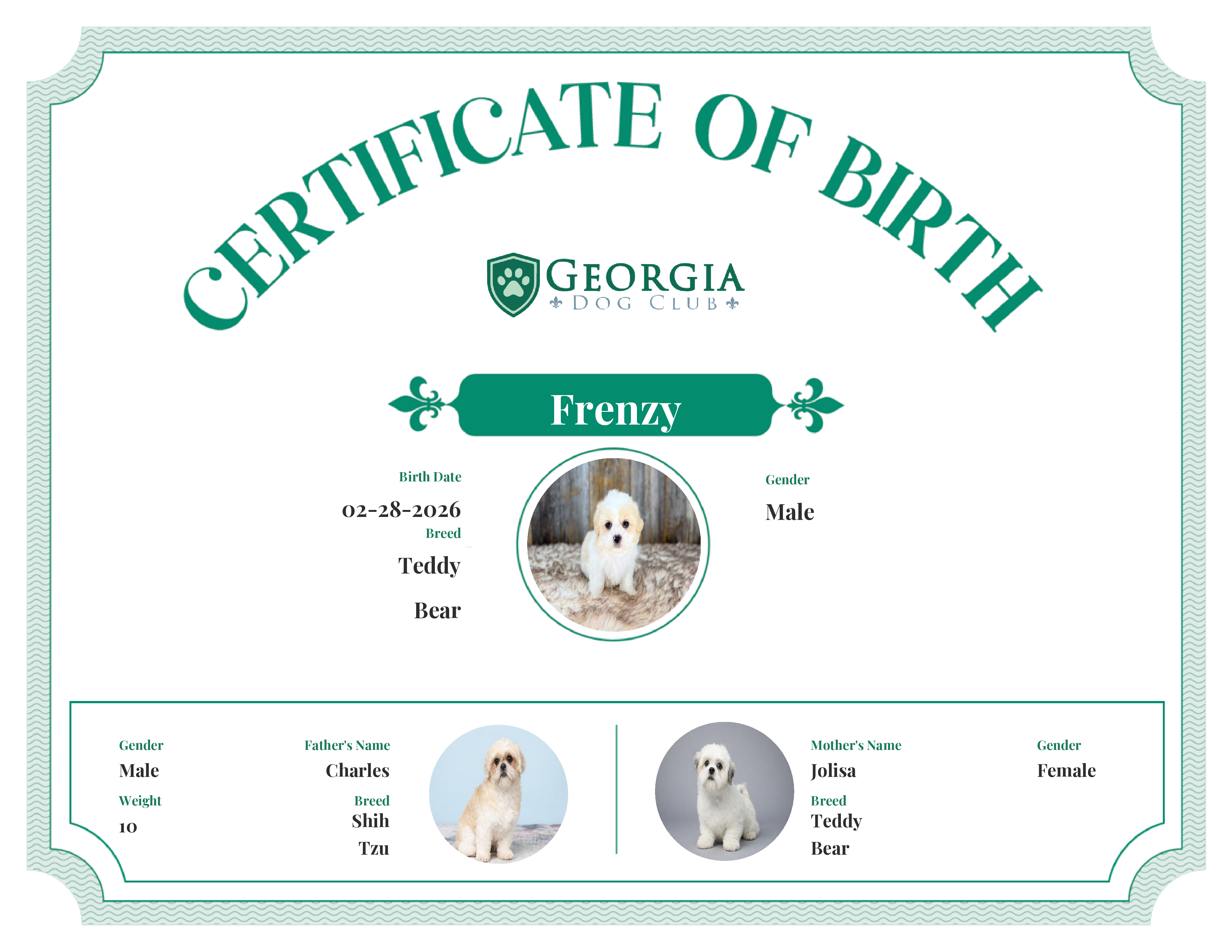 Frenzy's Birth Certificate