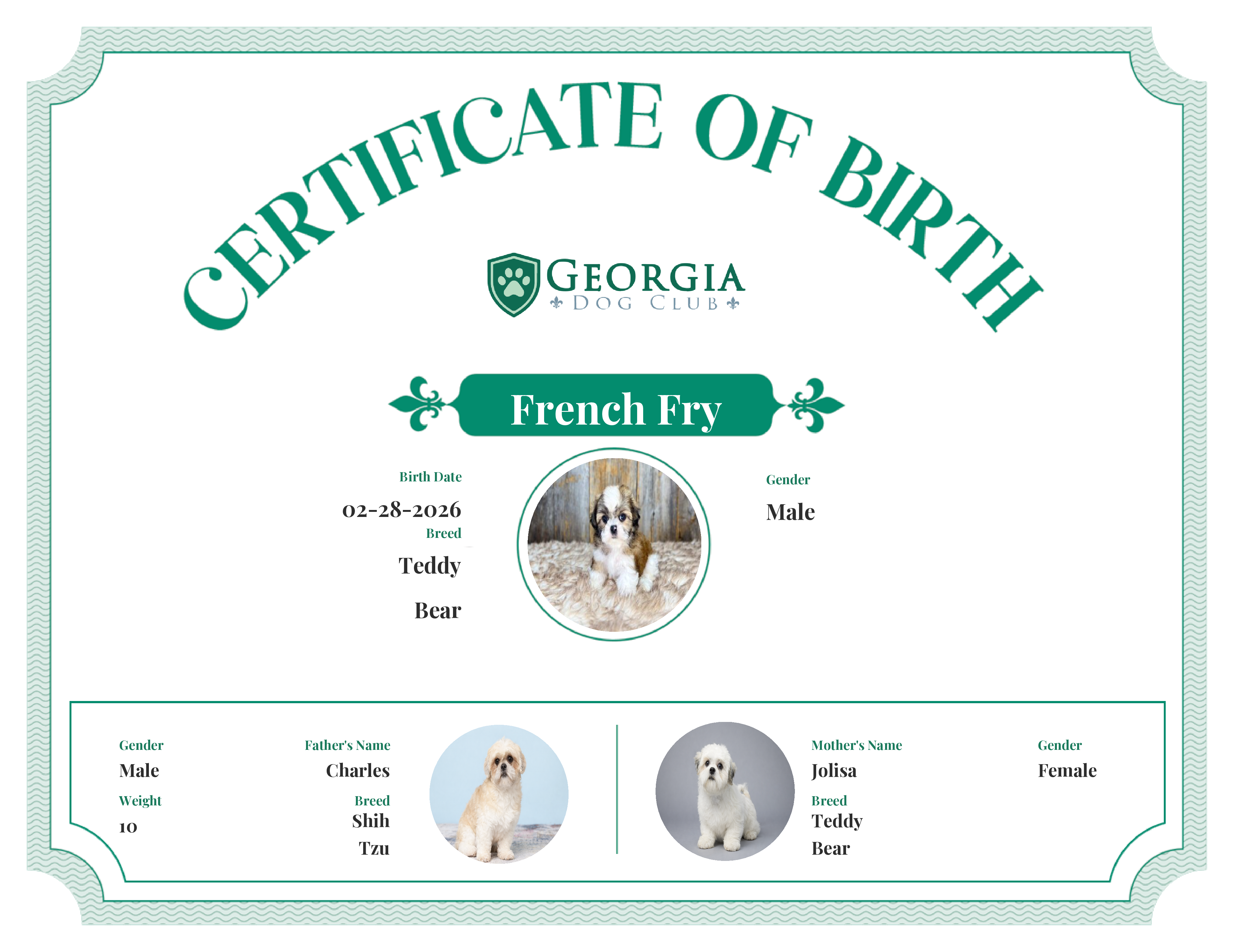 French Fry's Birth Certificate