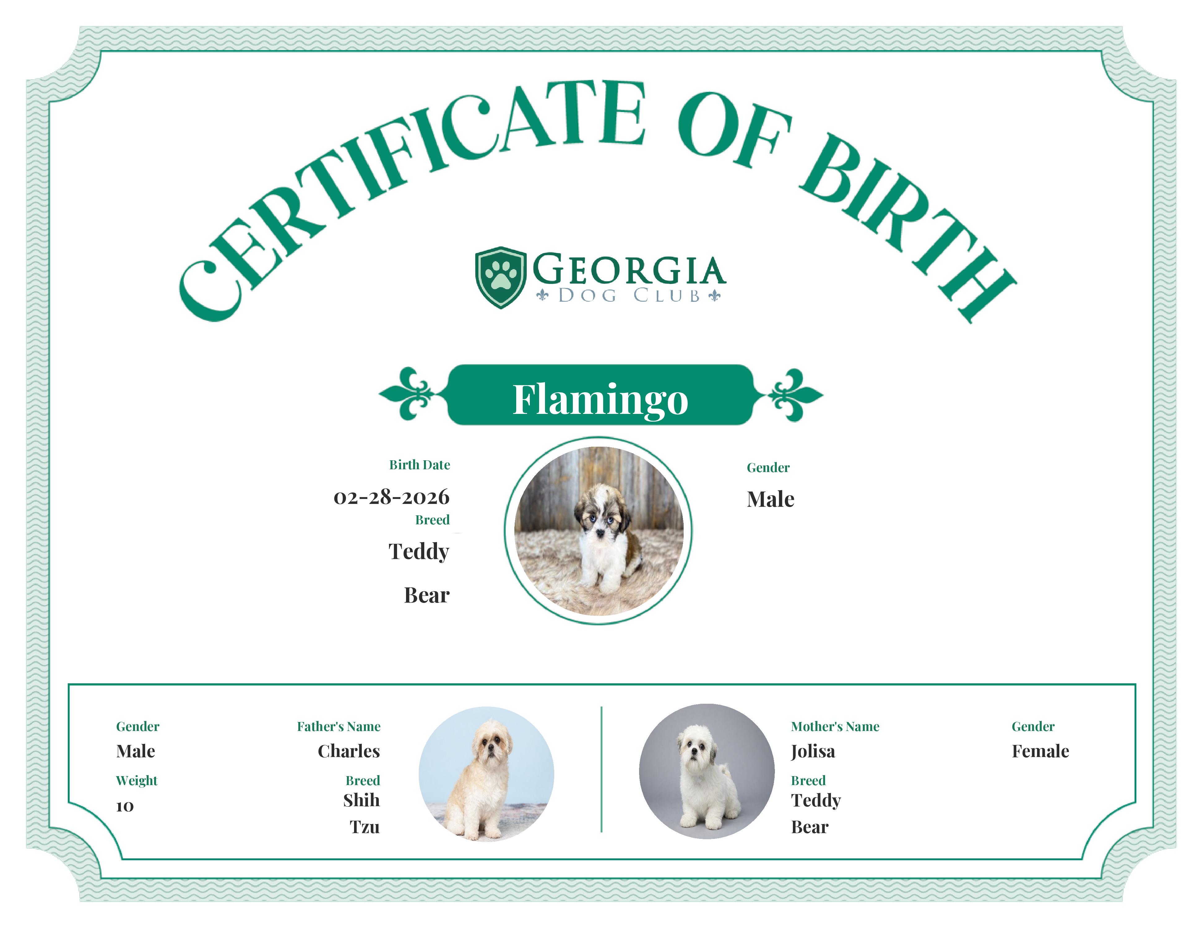 Flamingo's Birth Certificate