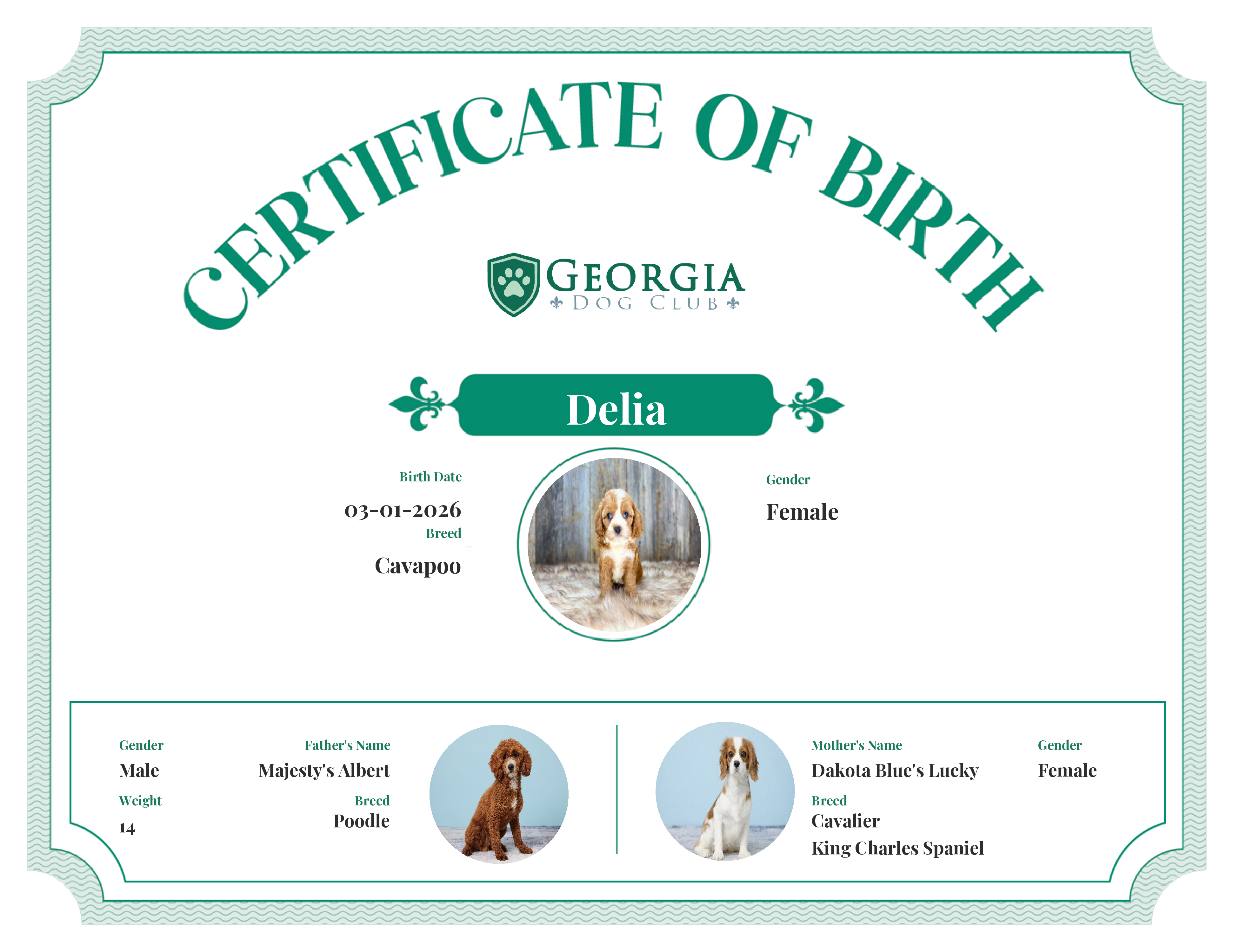 Delia's Birth Certificate