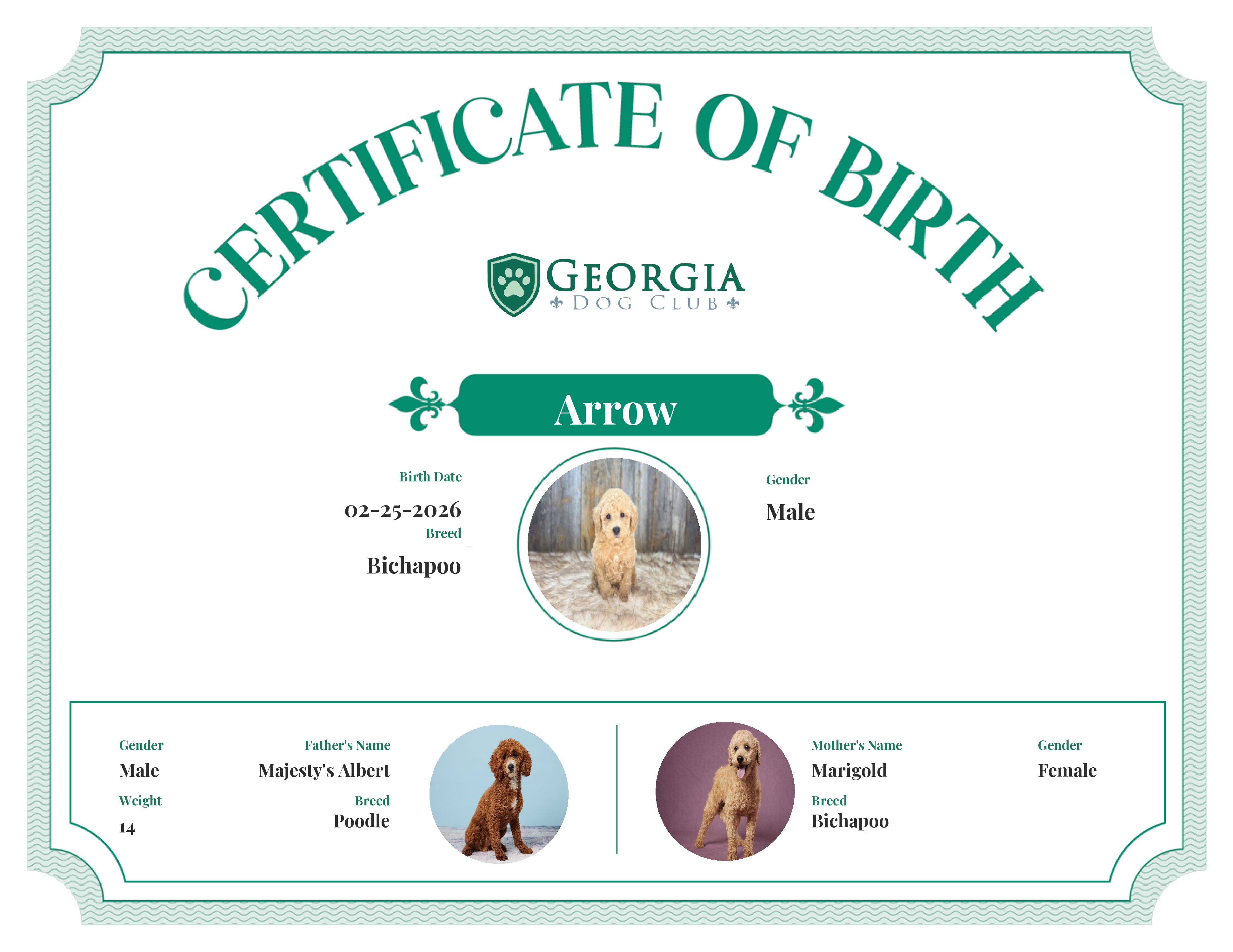 Arrow's Birth Certificate