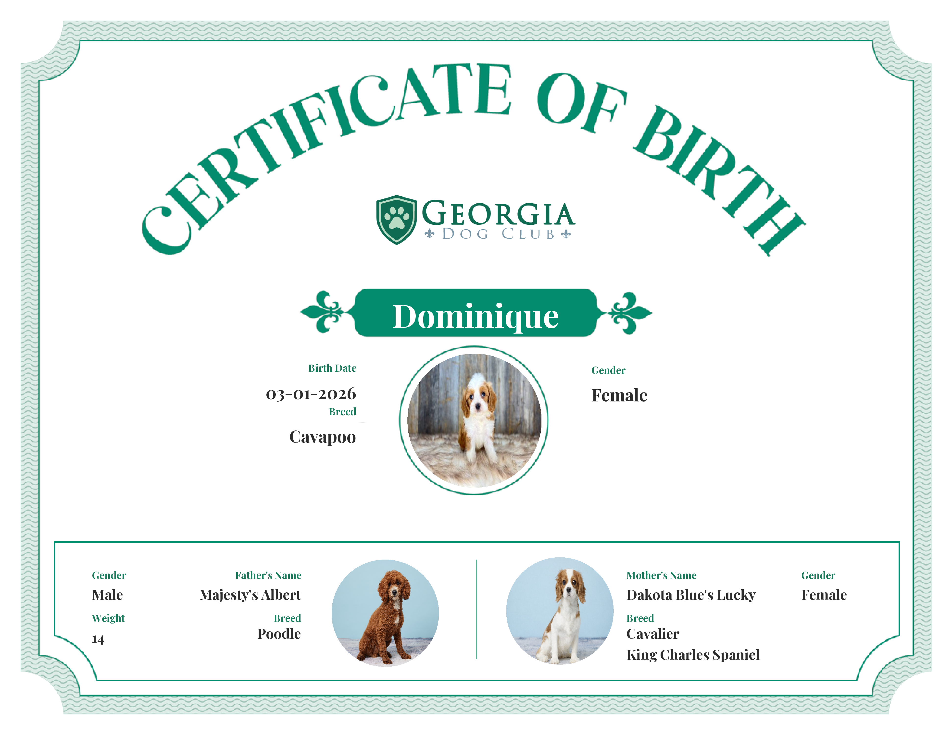 Dominique's Birth Certificate