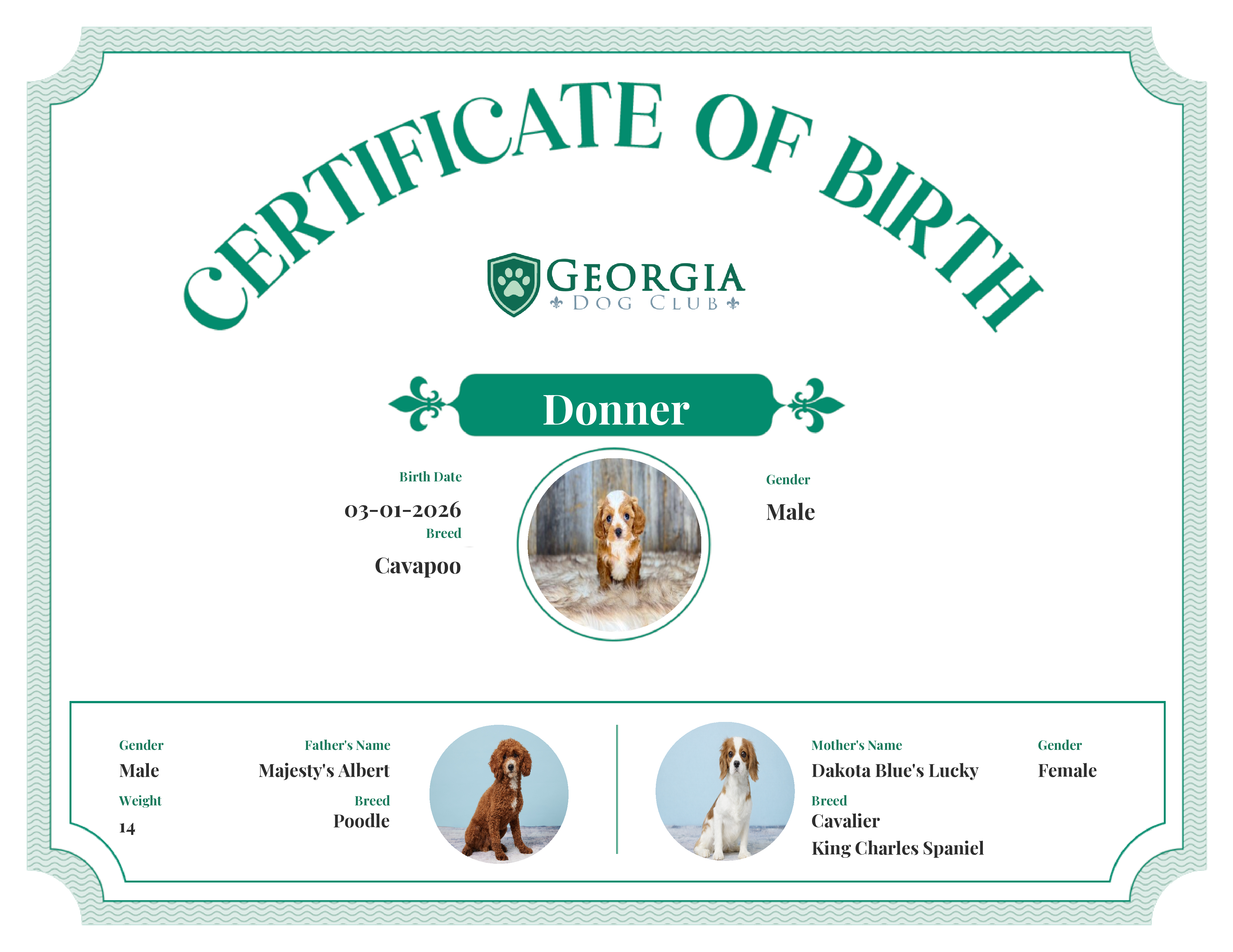 Donner's Birth Certificate