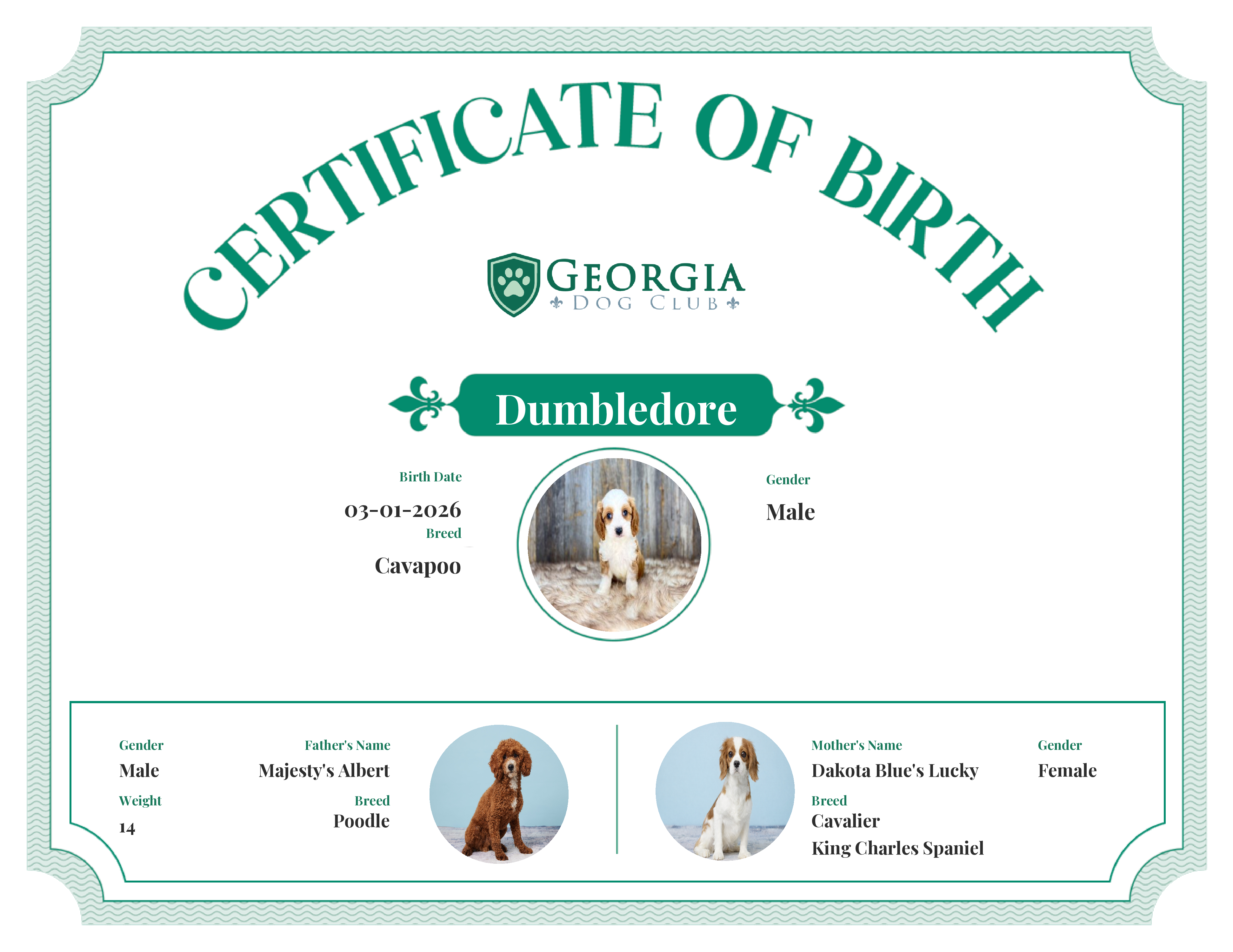 Dumbledore's Birth Certificate