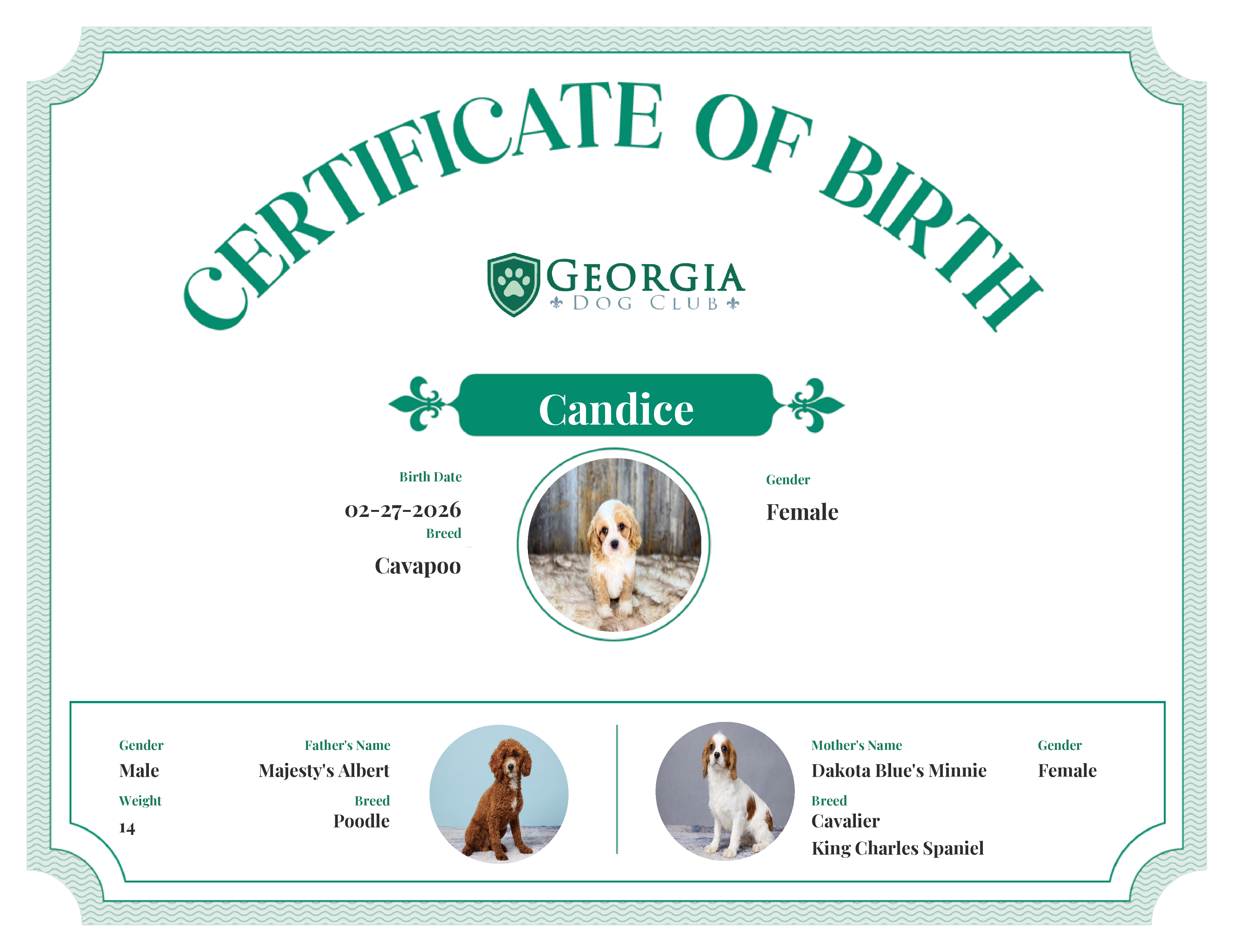 Candice's Birth Certificate