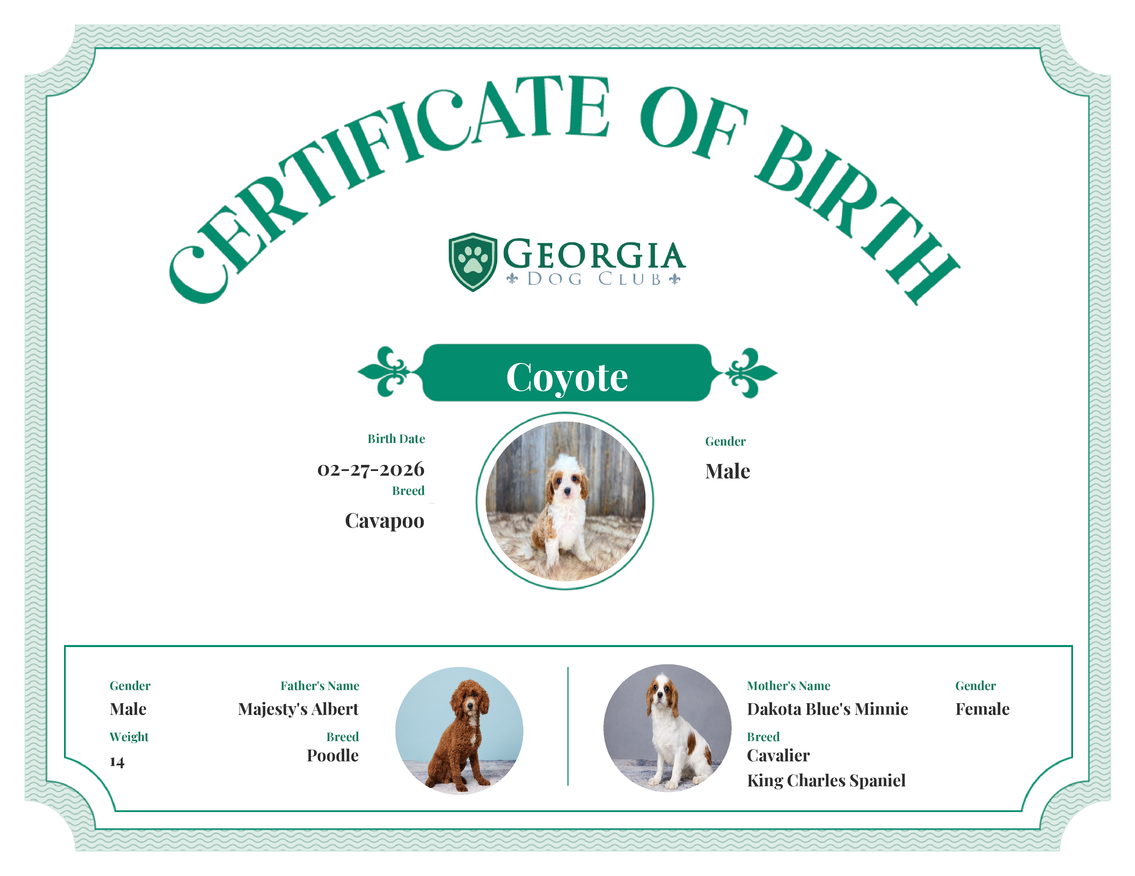 Coyote's Birth Certificate