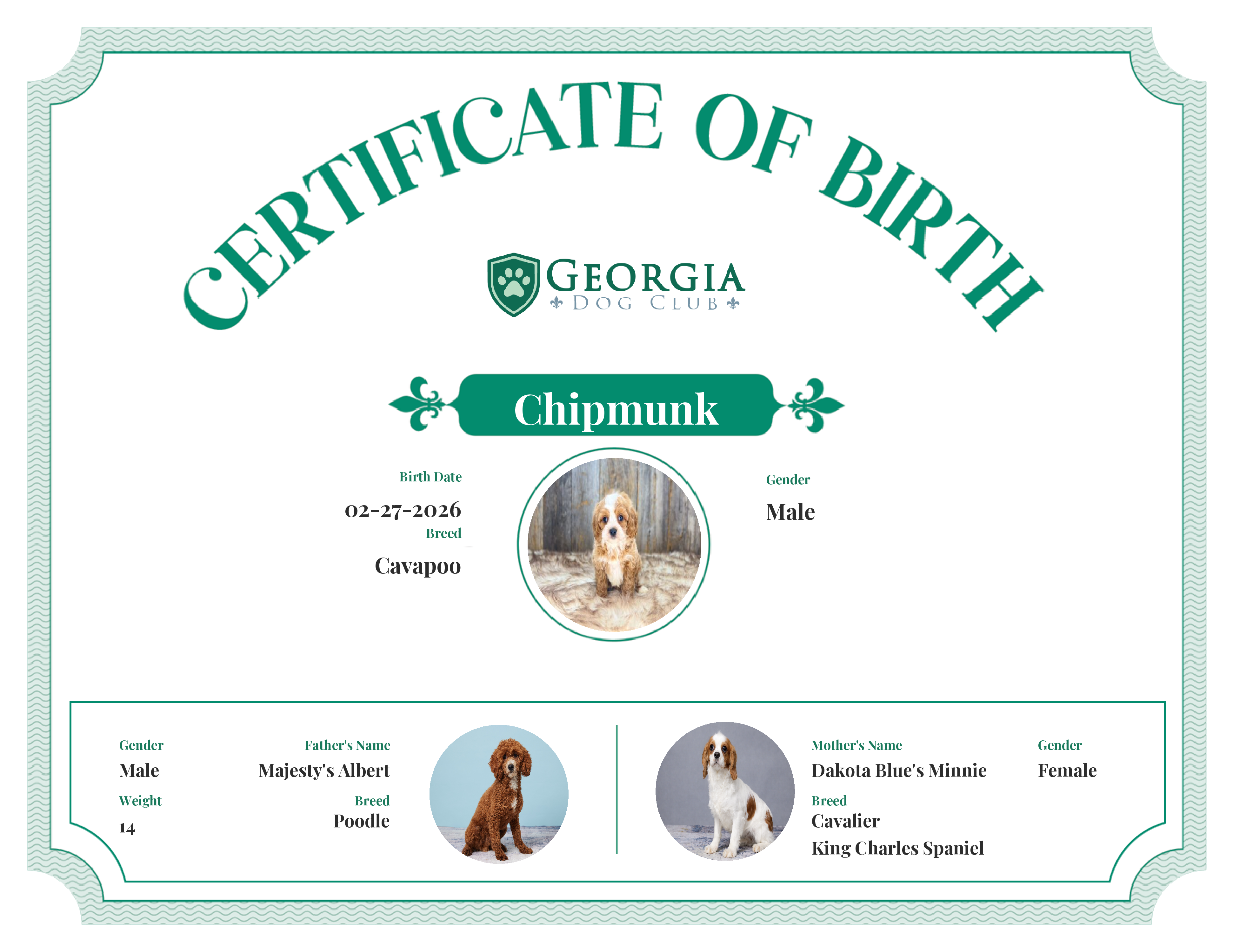 Chipmunk's Birth Certificate