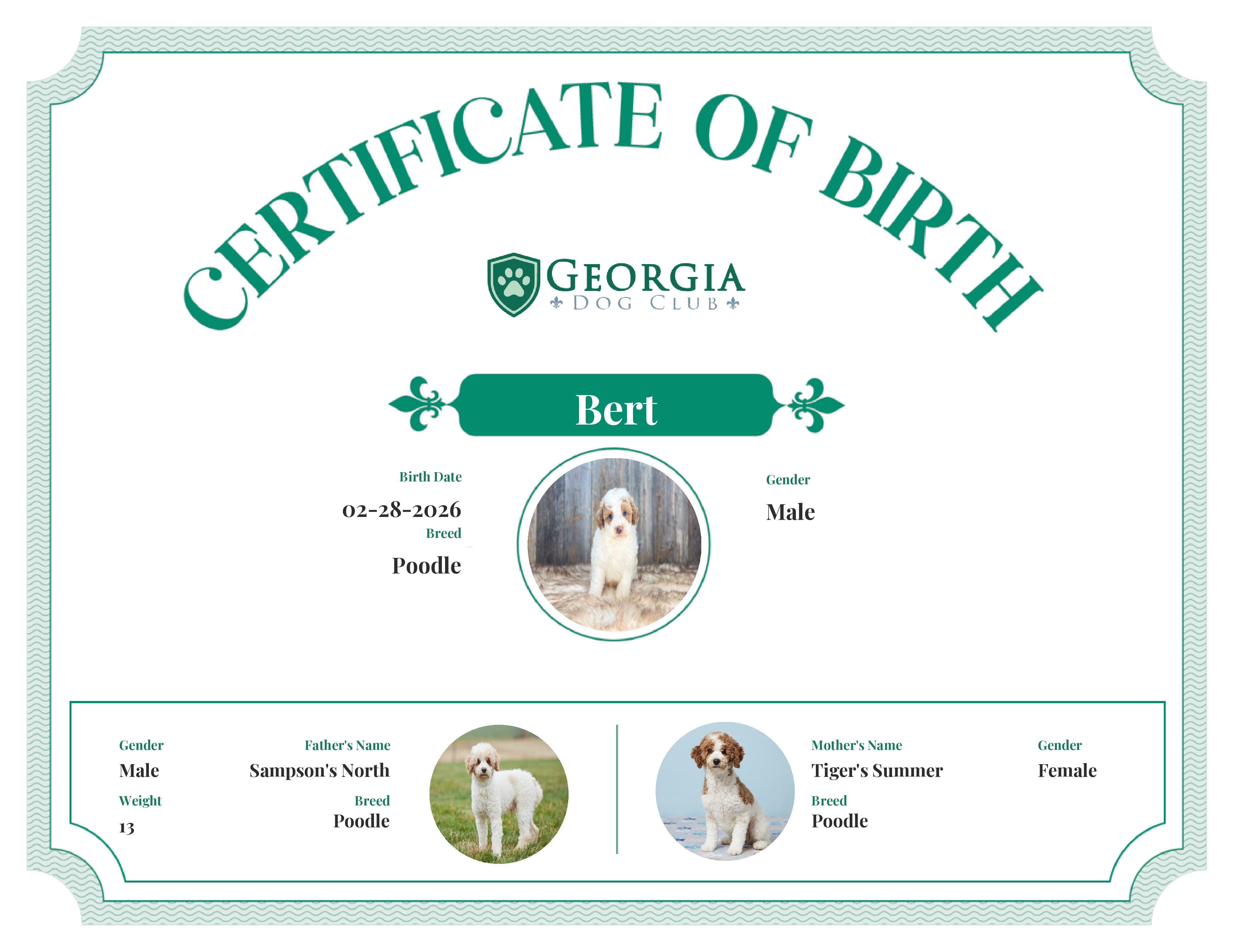 Bert's Birth Certificate