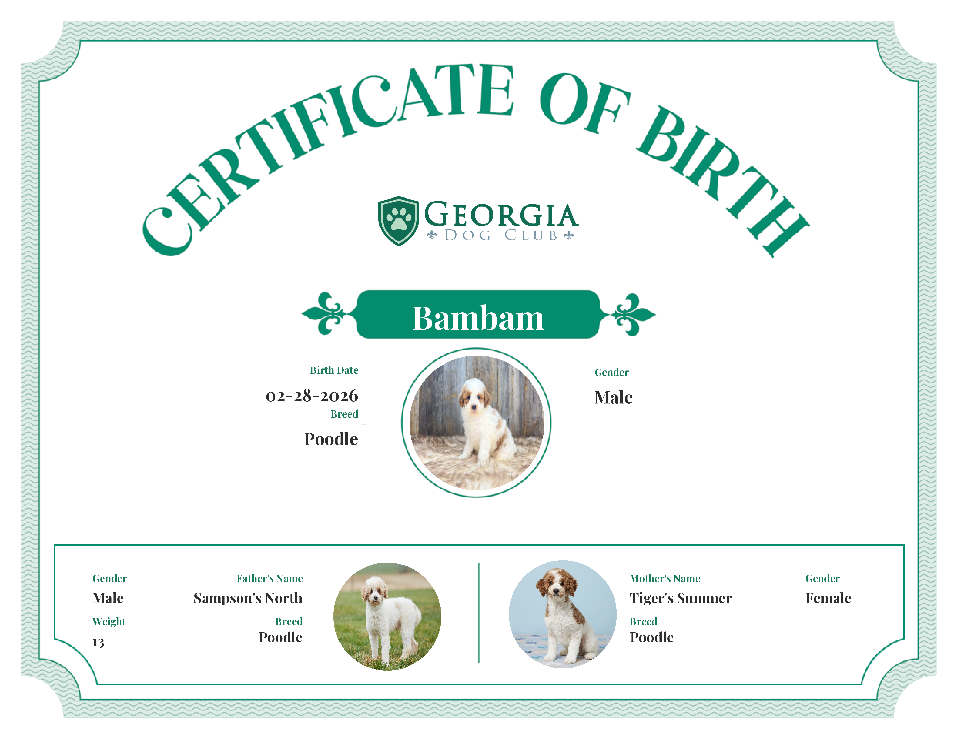 Bambam's Birth Certificate