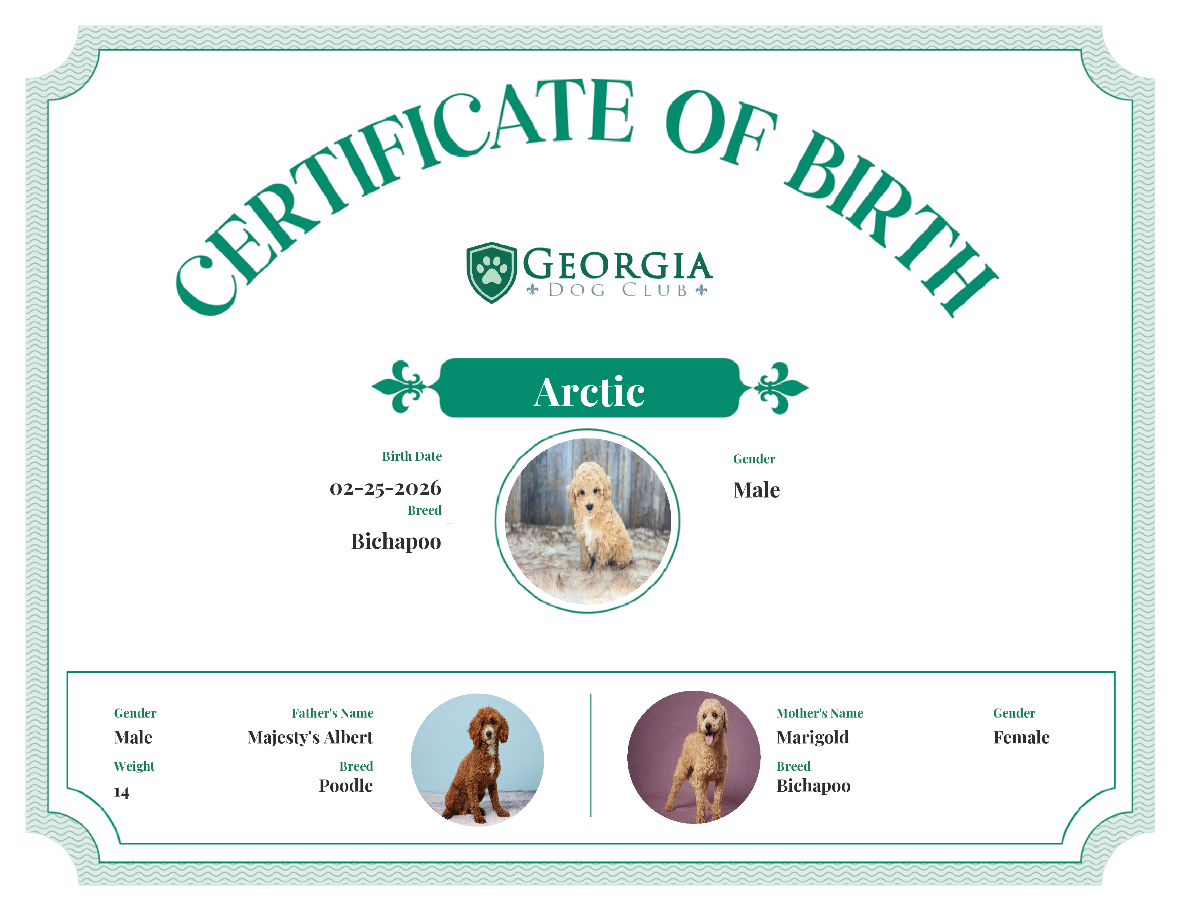 Arctic's Birth Certificate