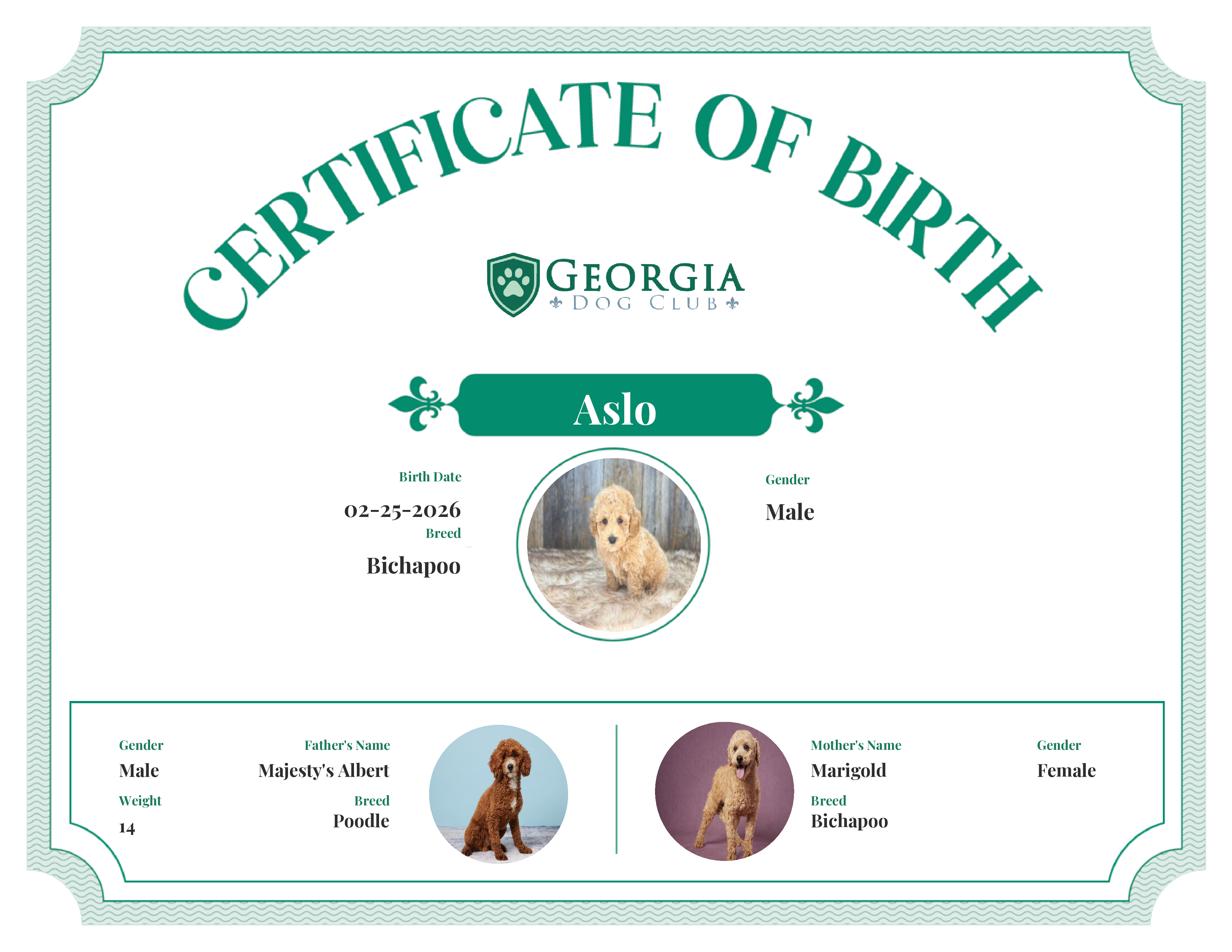 Aslo's Birth Certificate