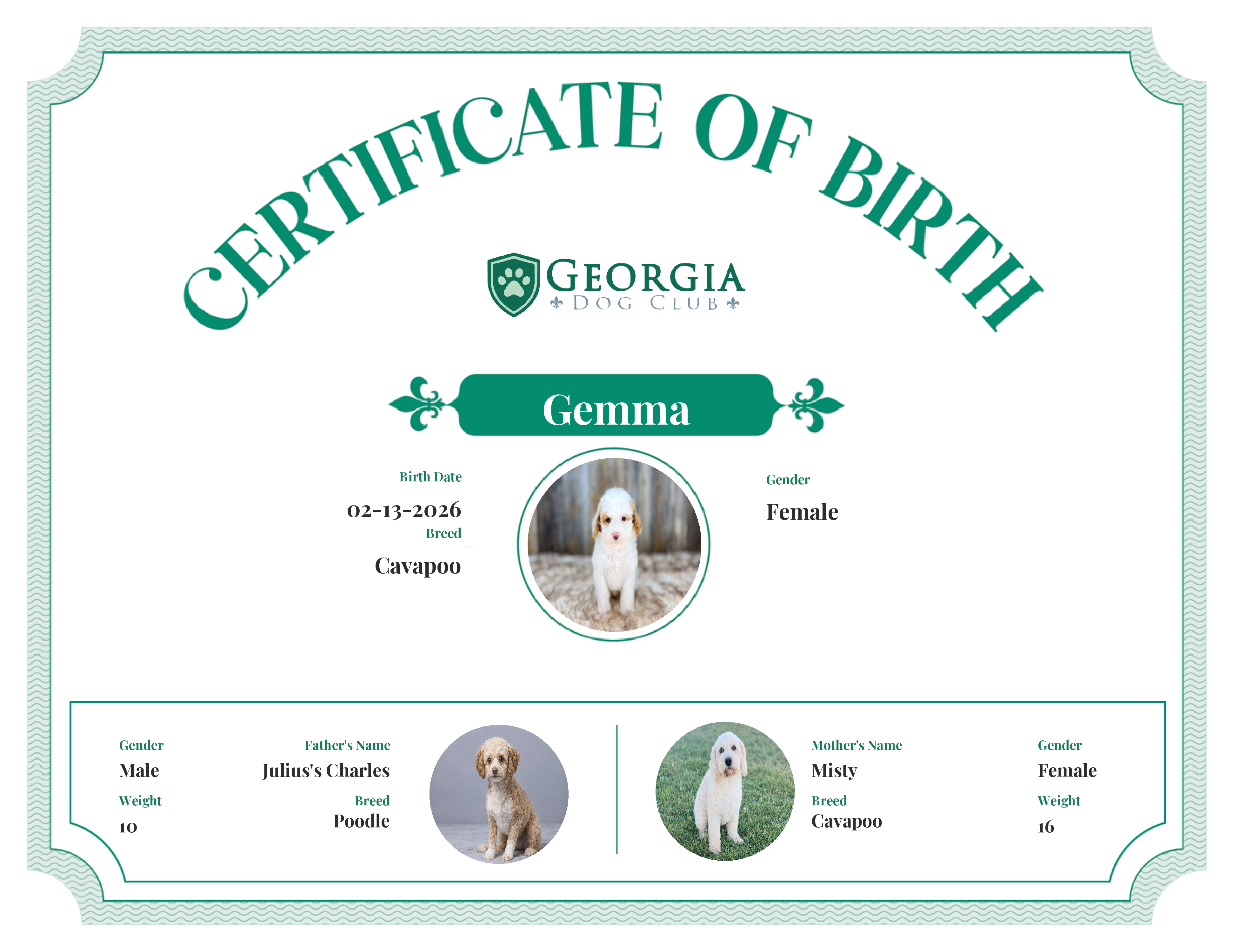 Gemma's Birth Certificate