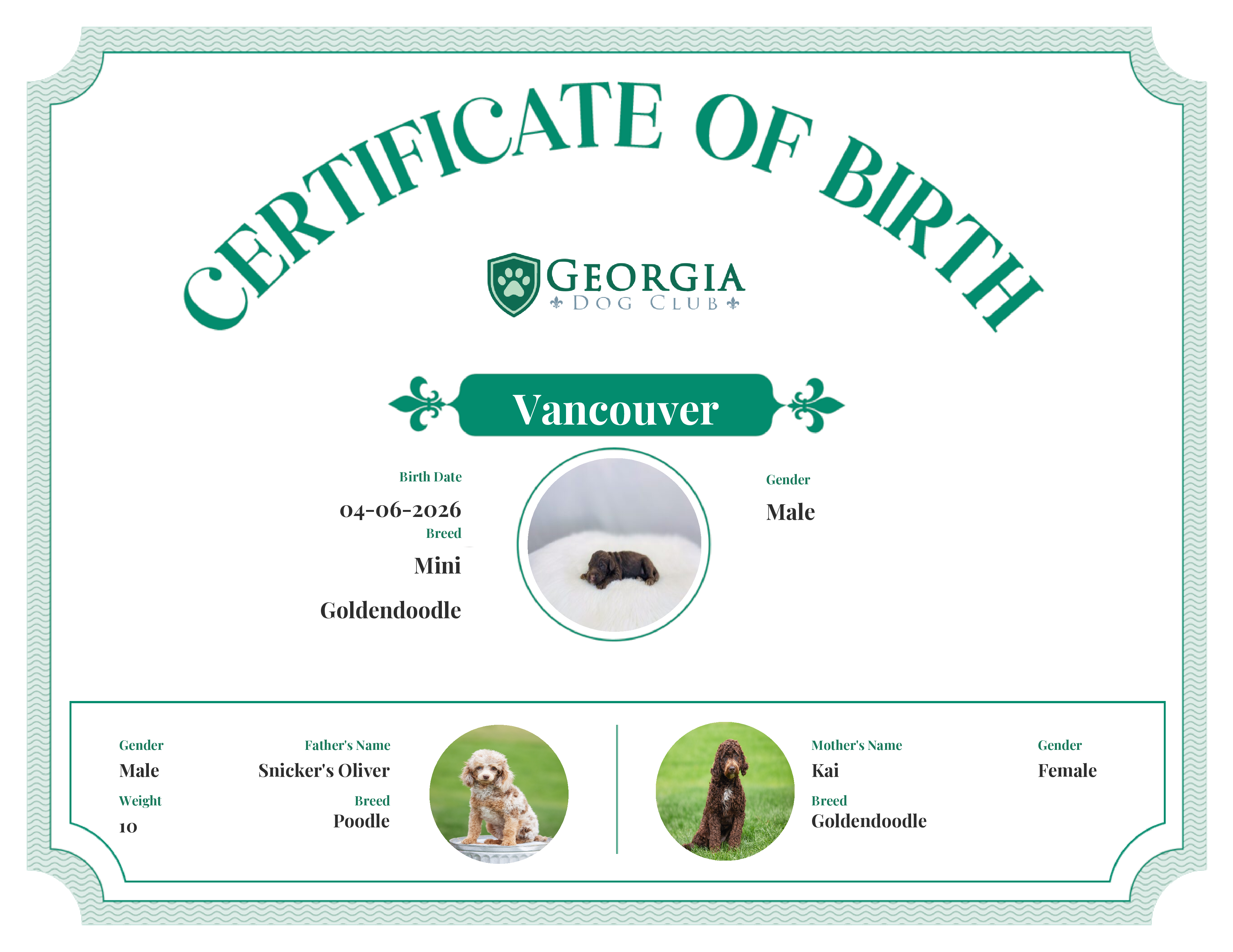 Vancouver's Birth Certificate
