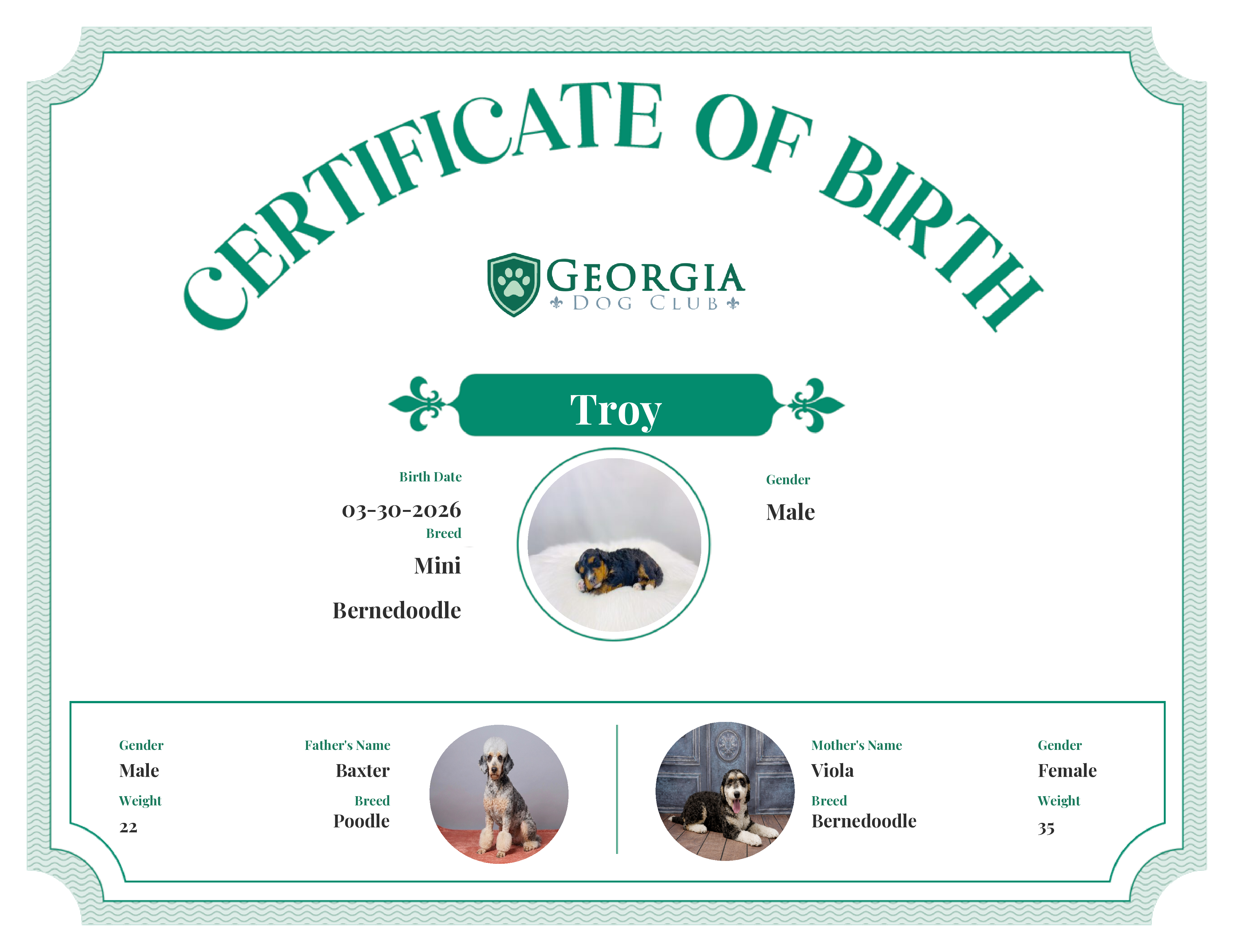 Troy's Birth Certificate