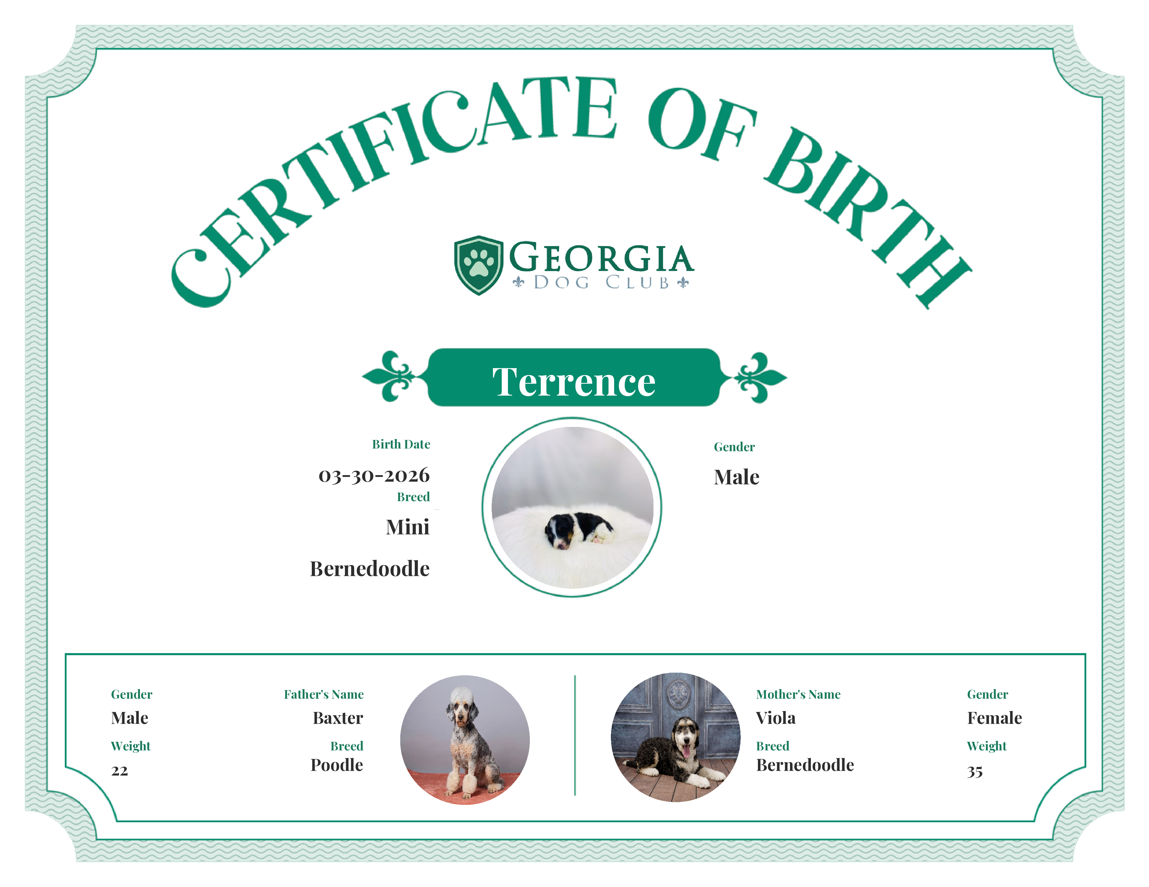 Terrence's Birth Certificate