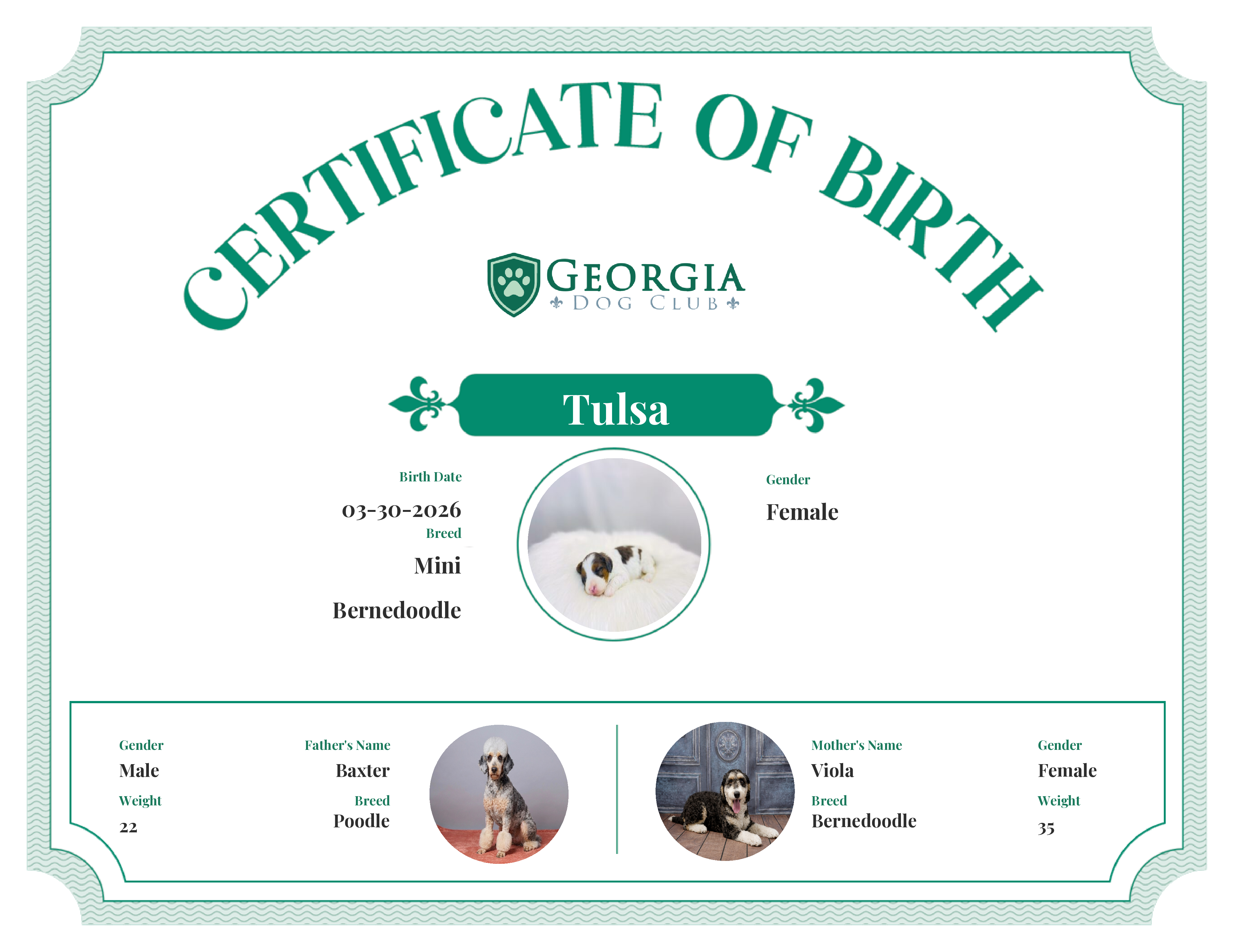 Tulsa's Birth Certificate