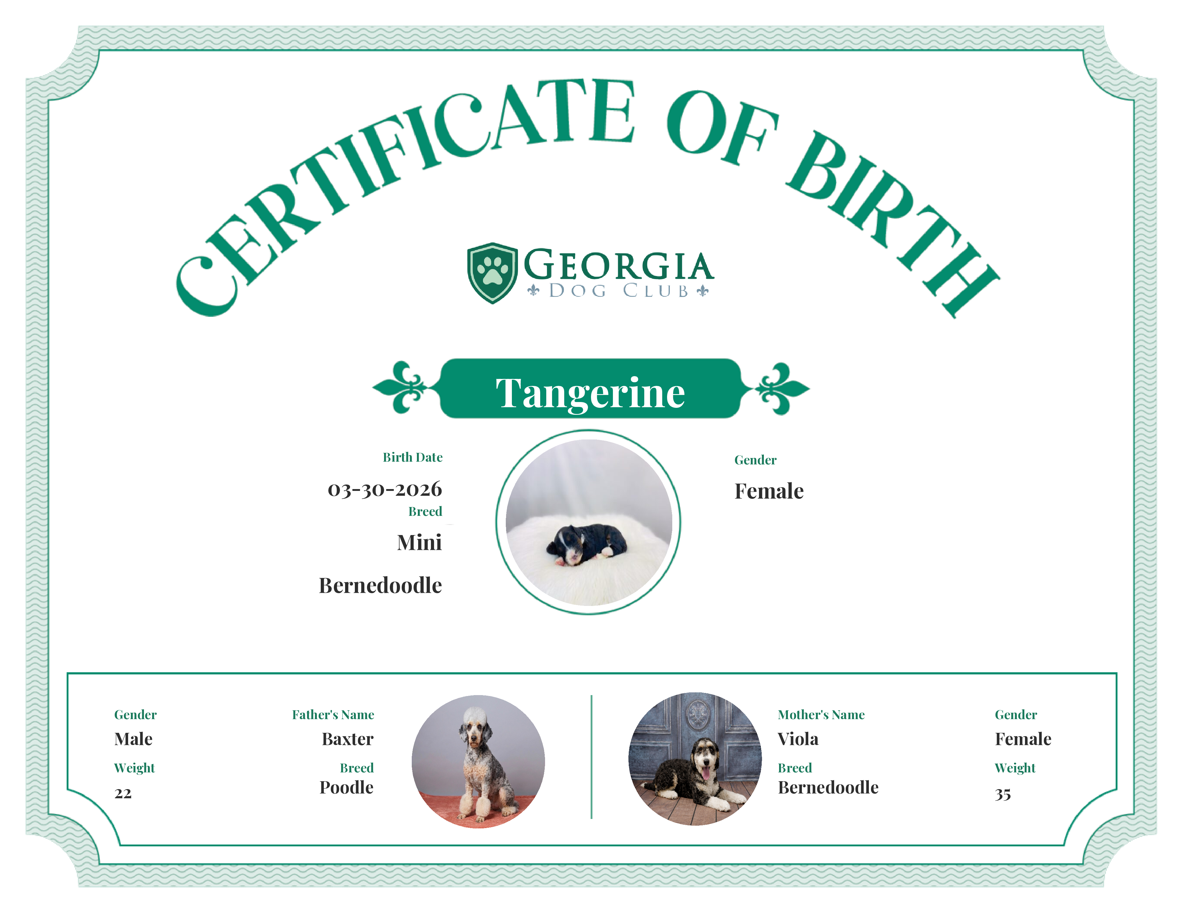 Tangerine's Birth Certificate