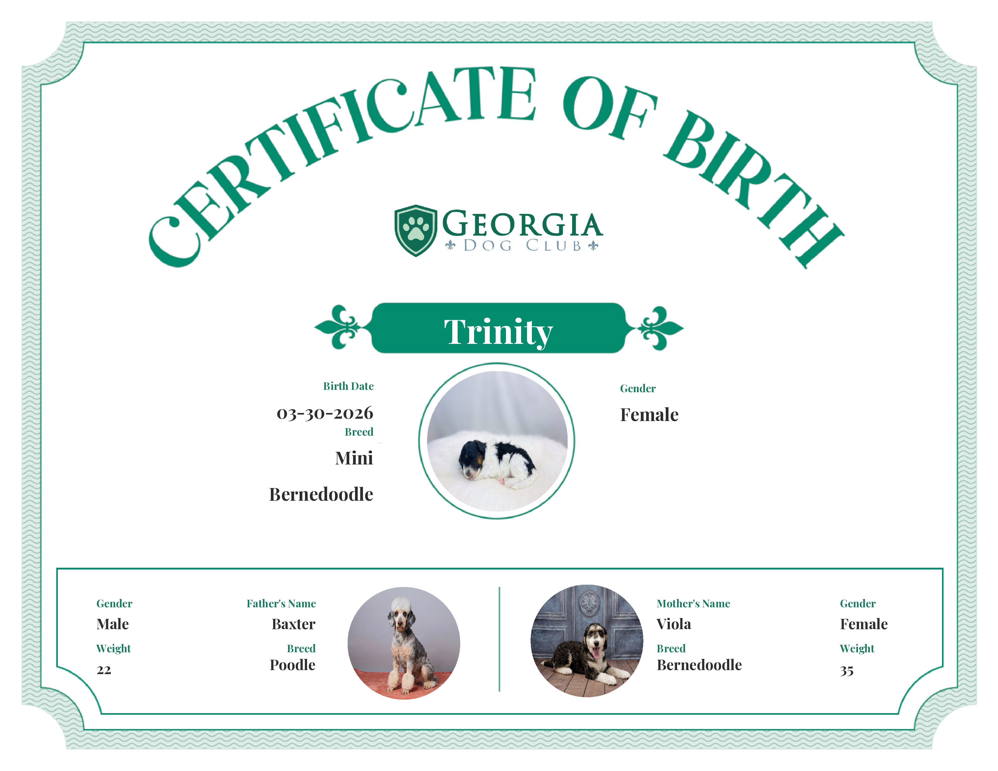 Trinity's Birth Certificate