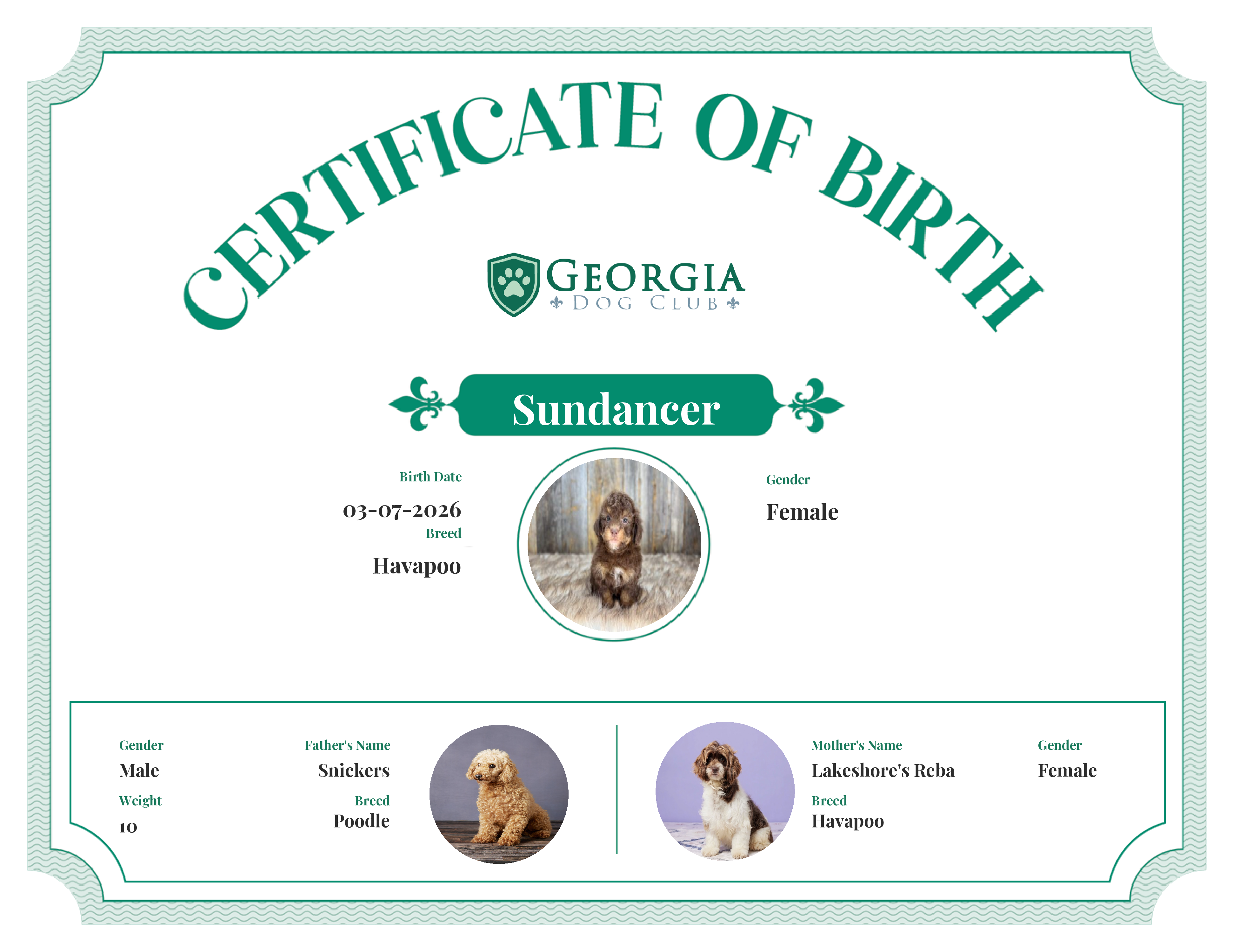 Sundancer's Birth Certificate