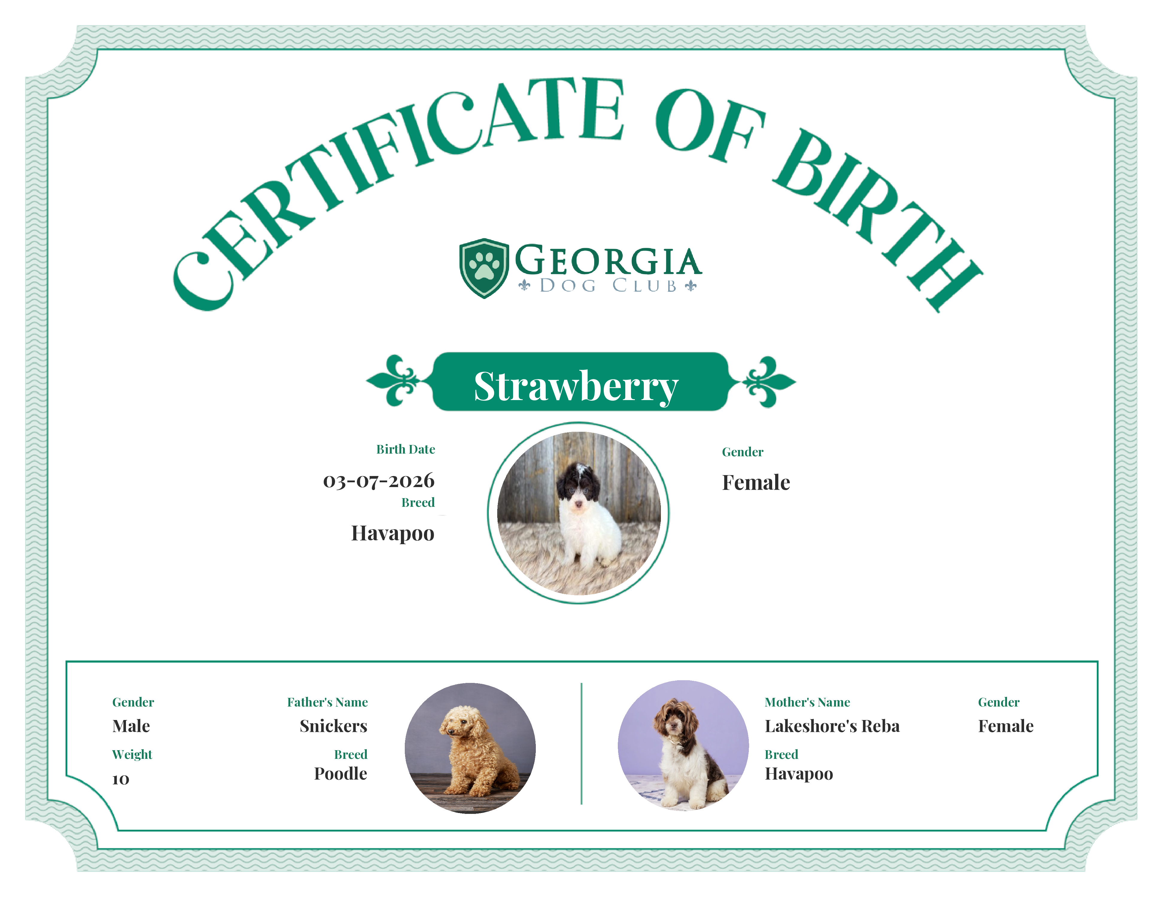 Strawberry 's Birth Certificate