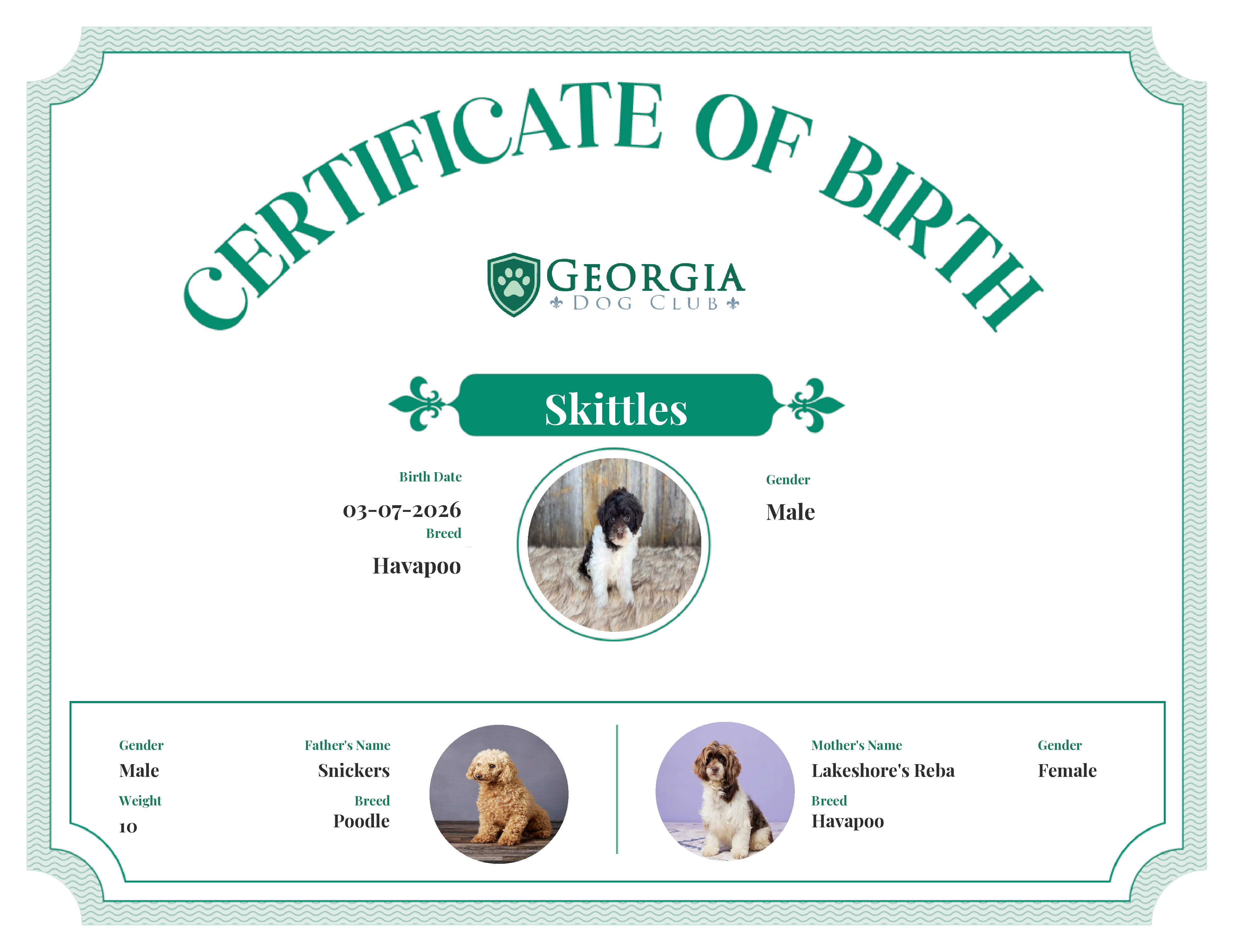 Skittles's Birth Certificate