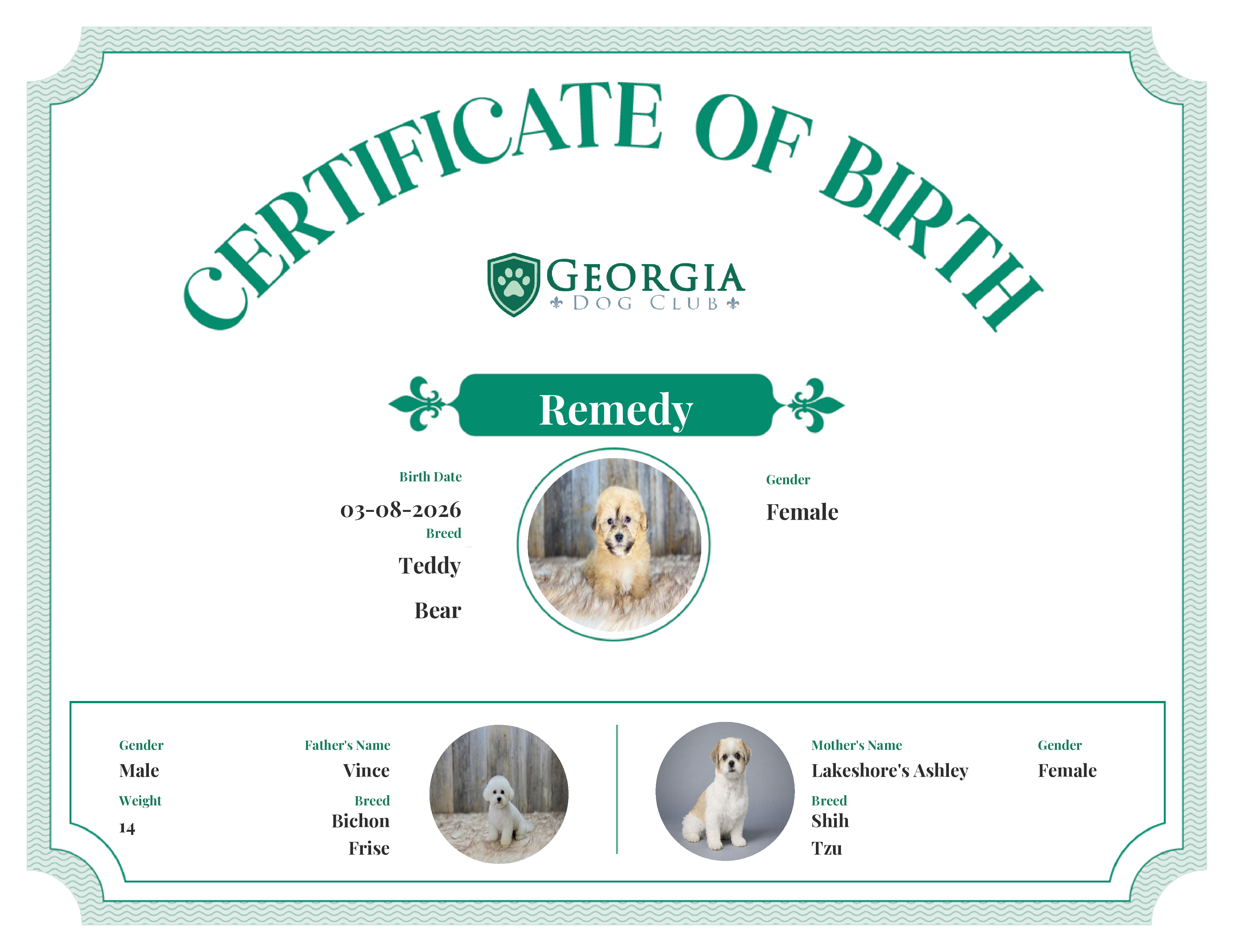 Remedy's Birth Certificate