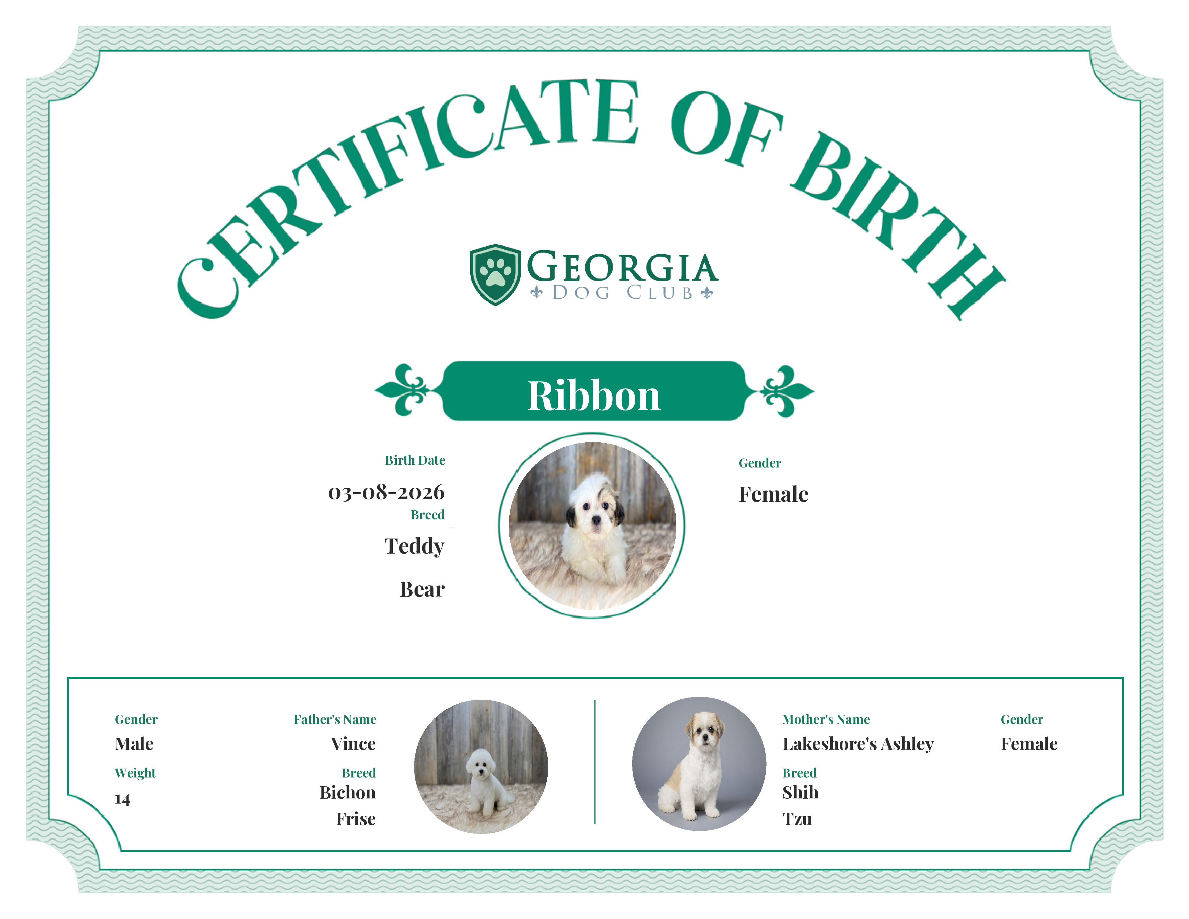Ribbon's Birth Certificate