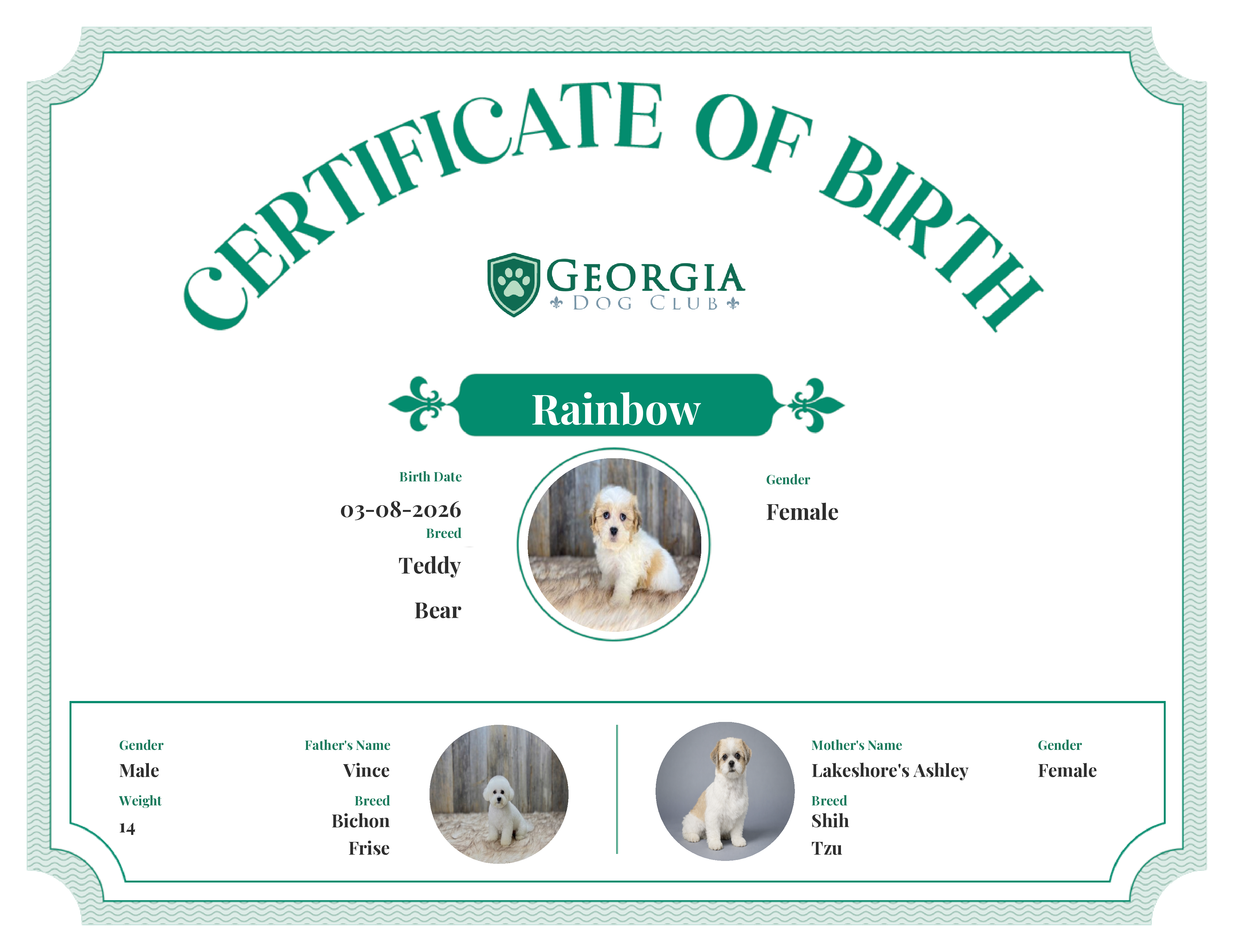 Rainbow's Birth Certificate
