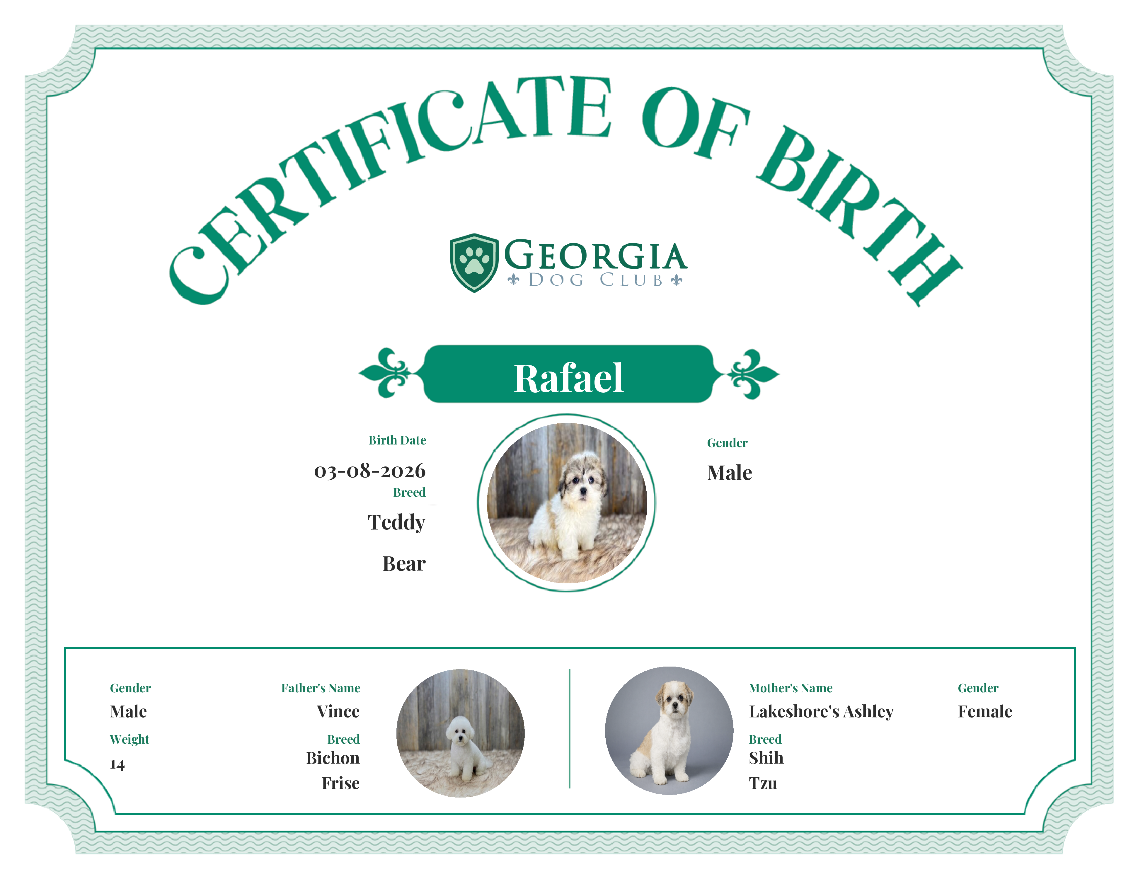 Rafael's Birth Certificate