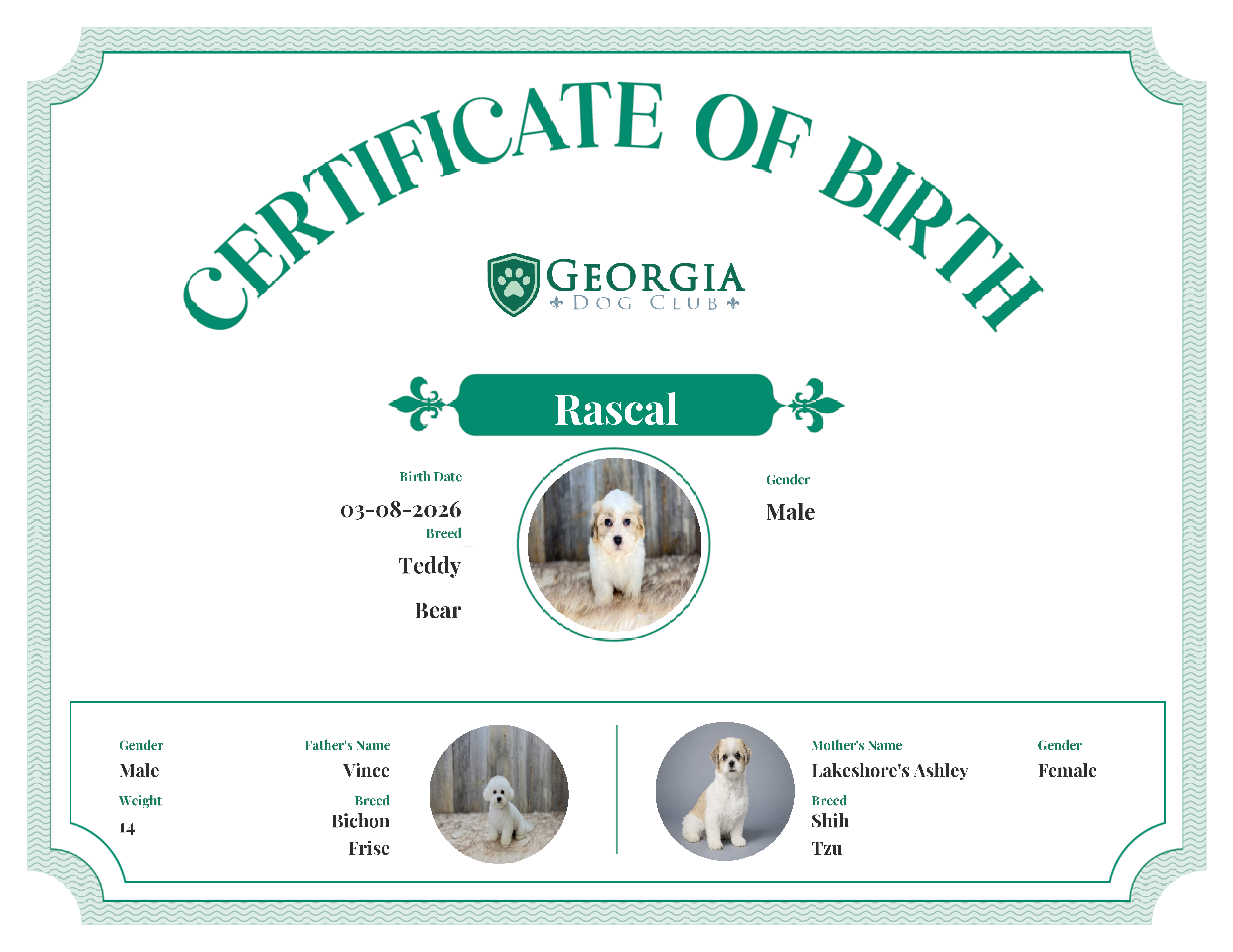 Rascal's Birth Certificate