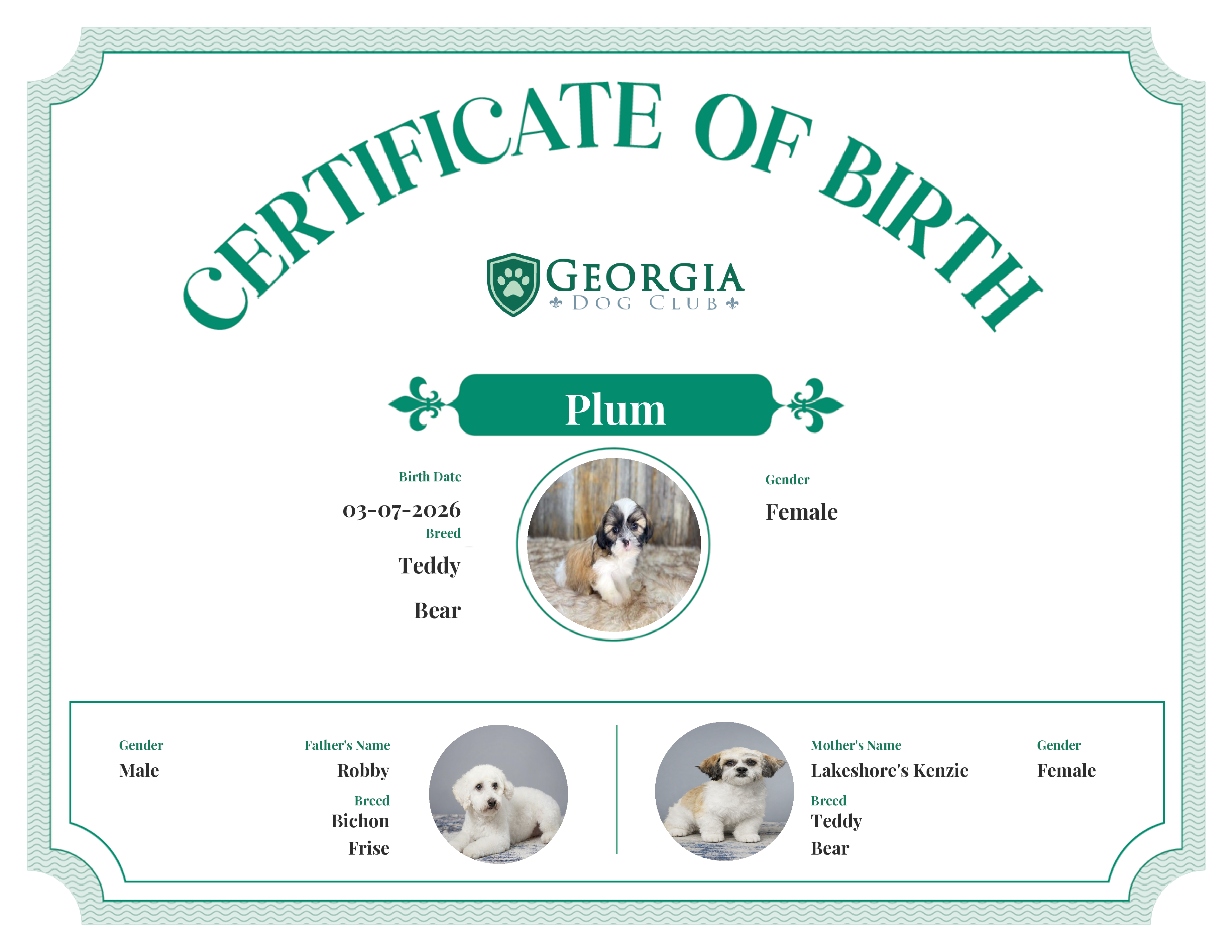 Plum's Birth Certificate