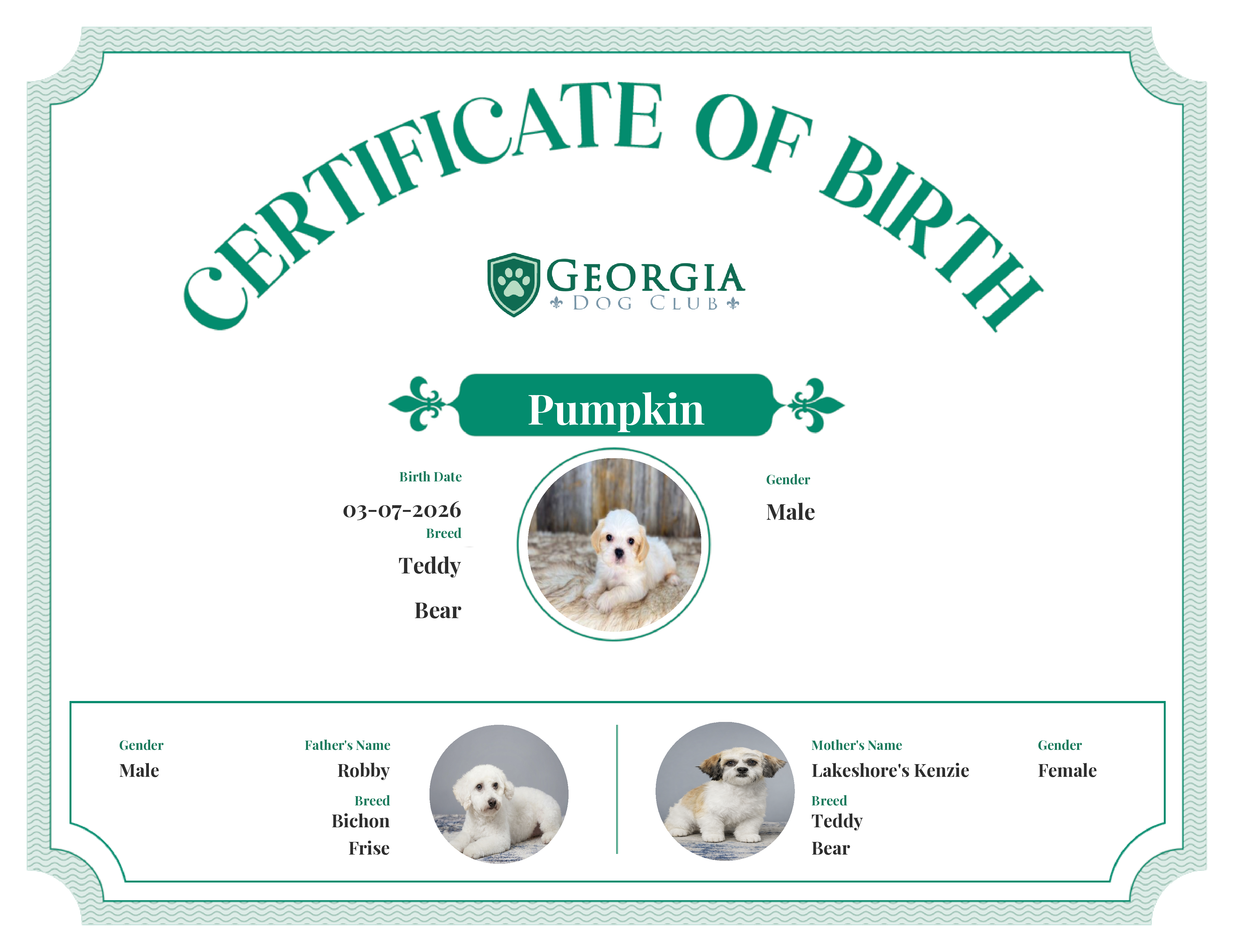 Pumpkin's Birth Certificate