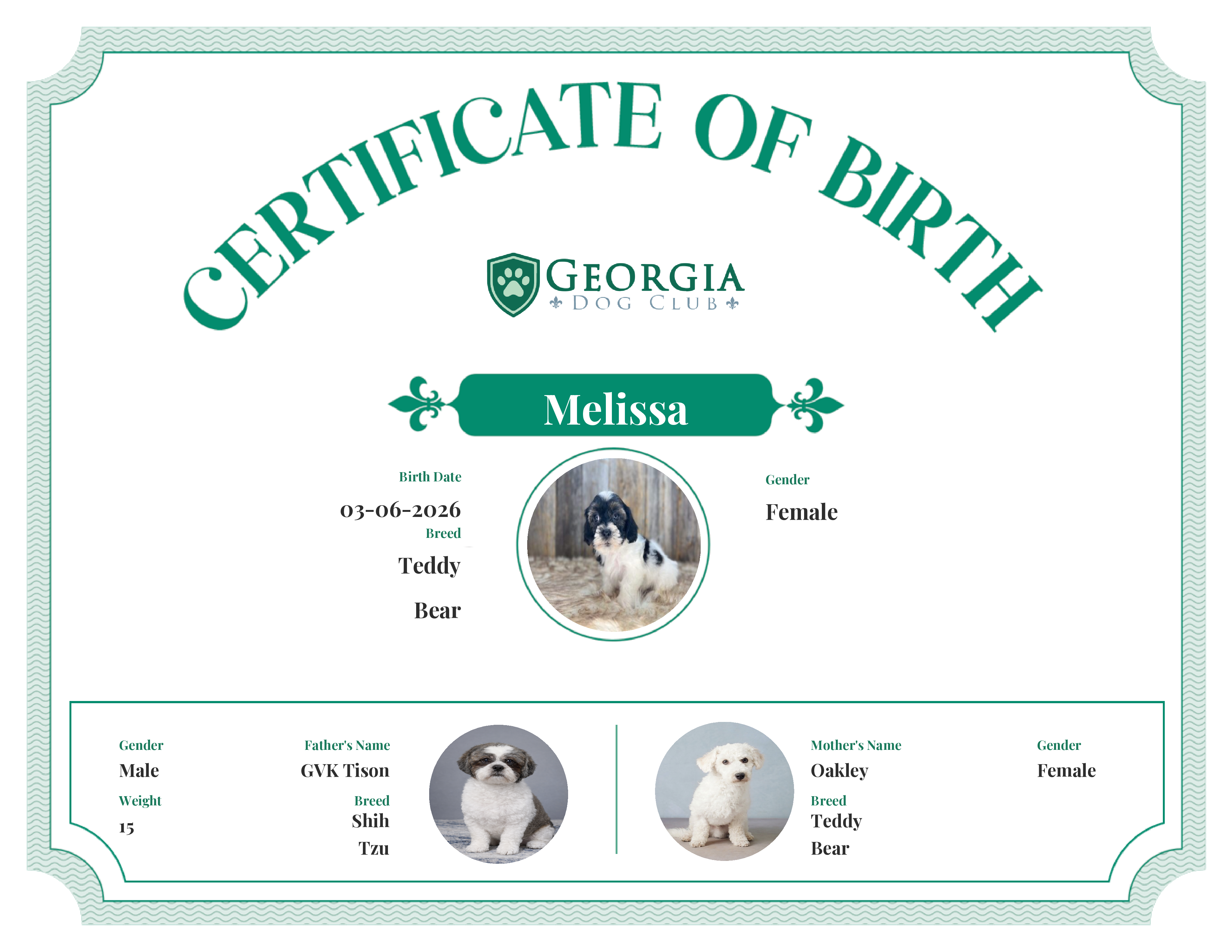 Melissa's Birth Certificate
