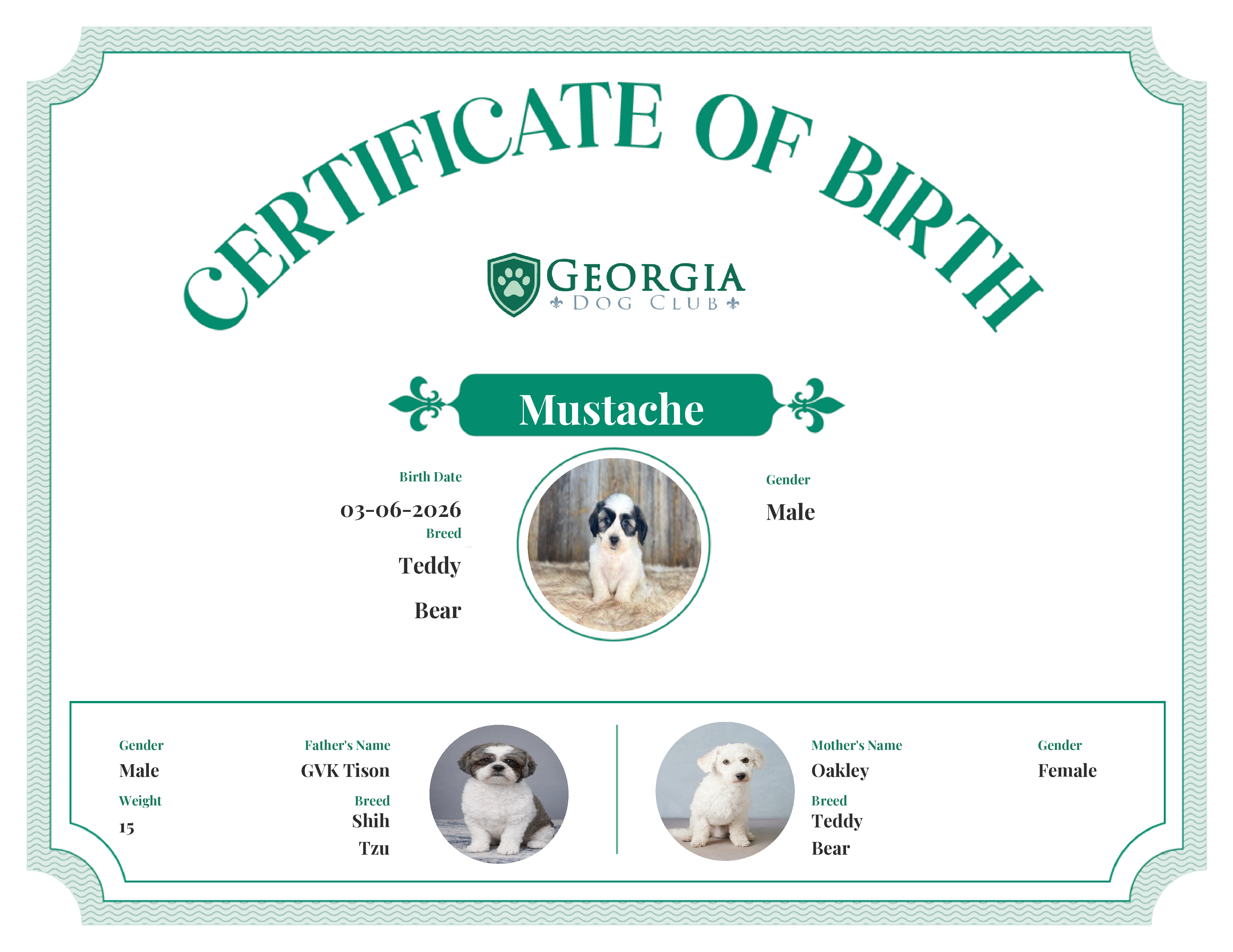 Mustache 's Birth Certificate
