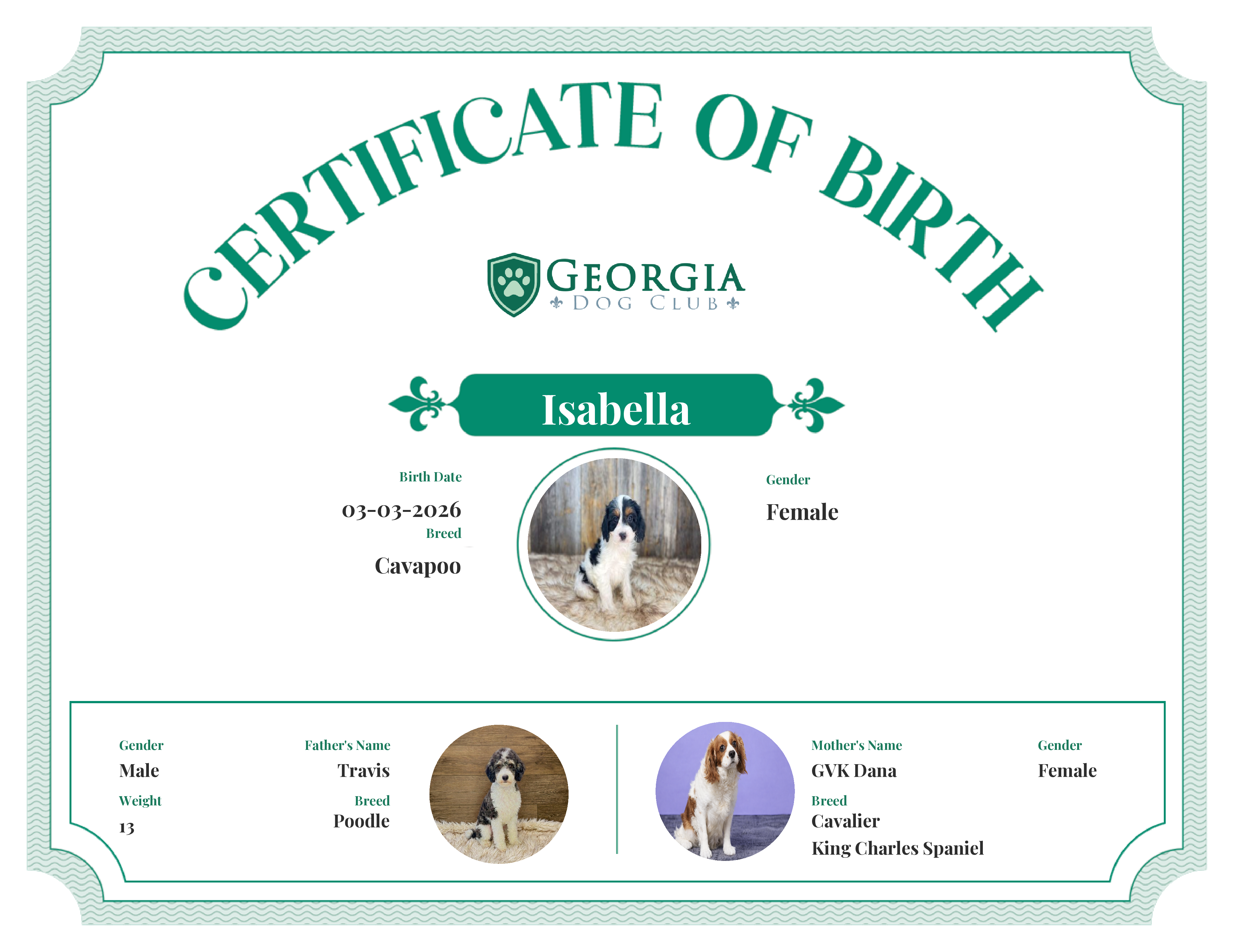 Isabella's Birth Certificate