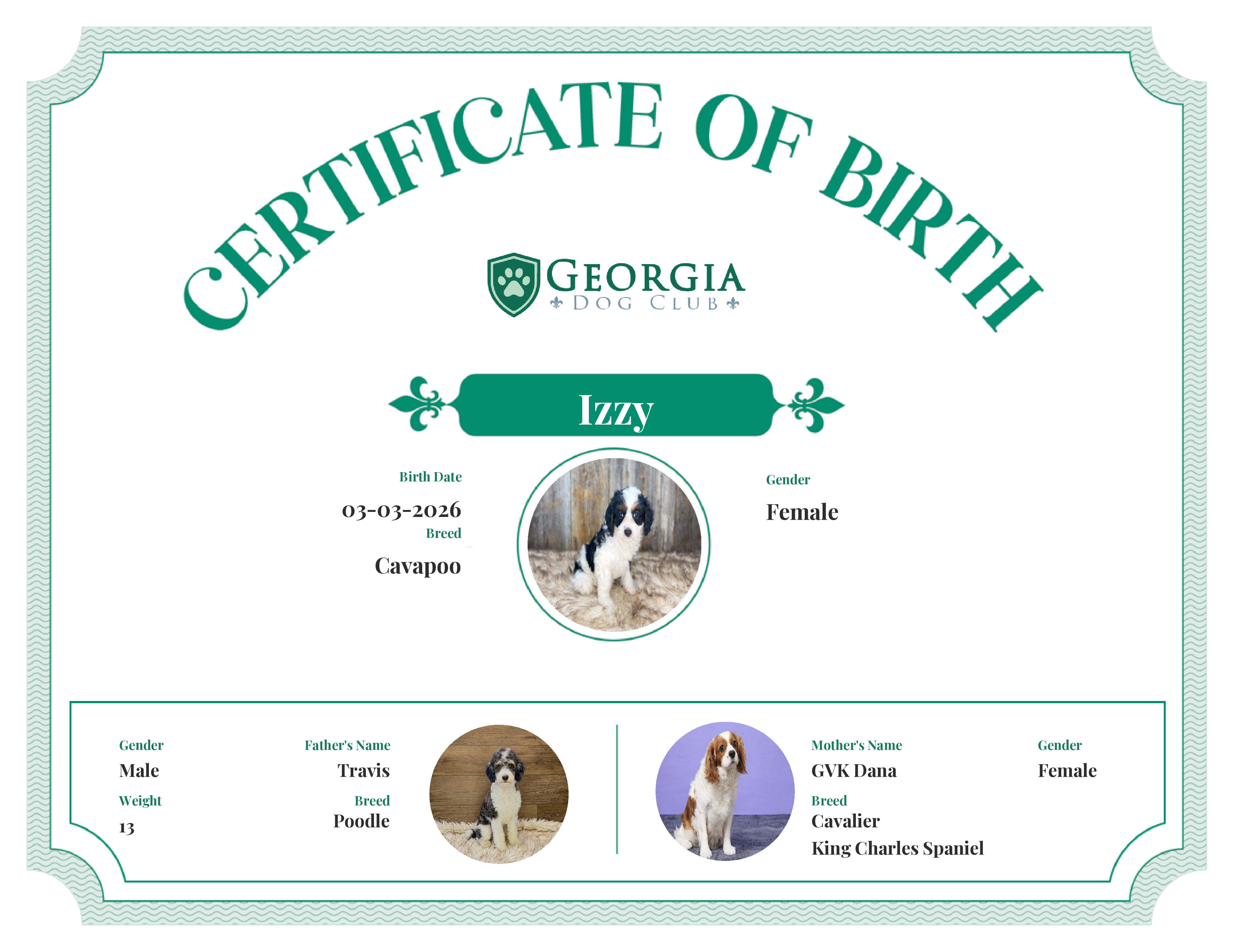 Izzy's Birth Certificate