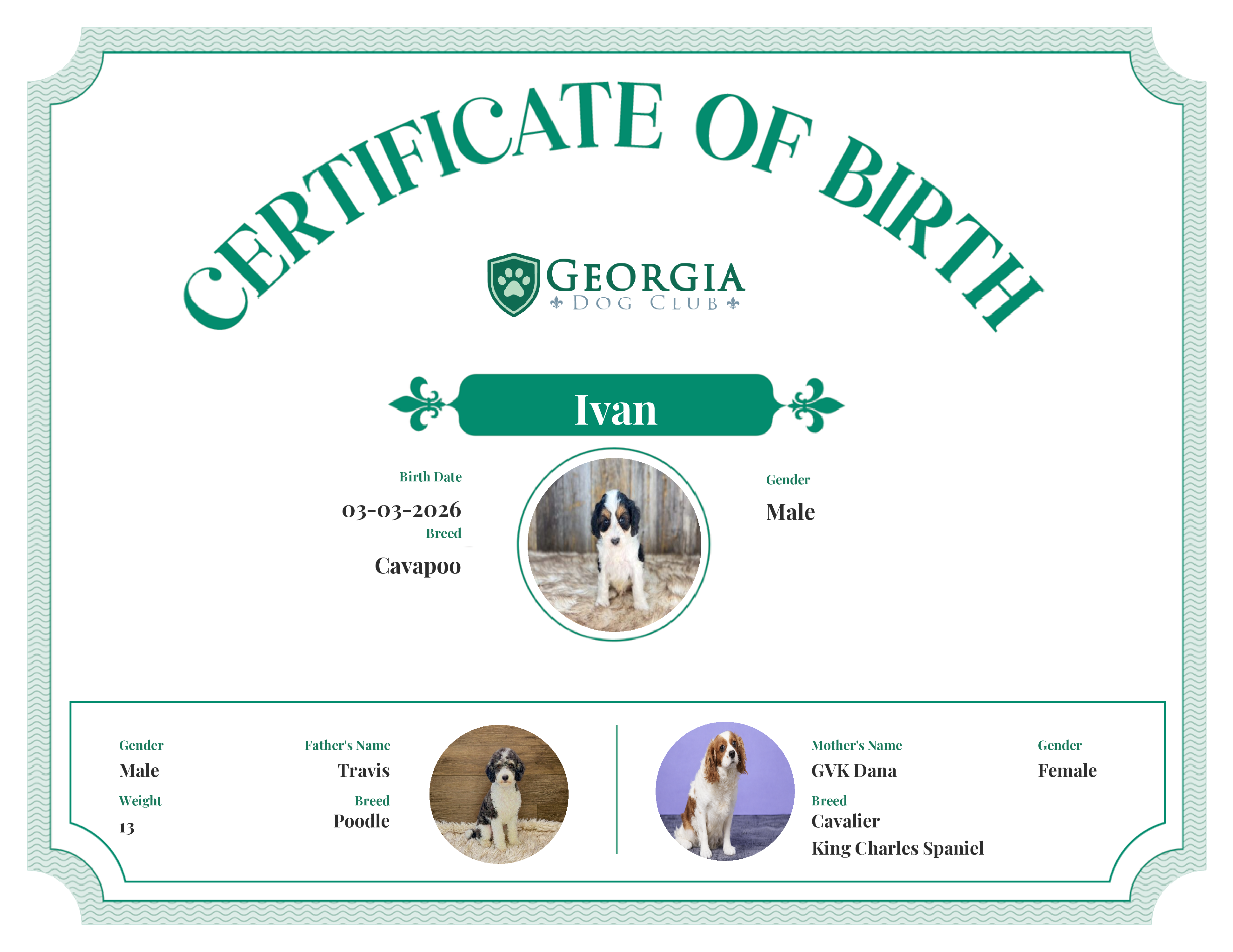 Ivan's Birth Certificate