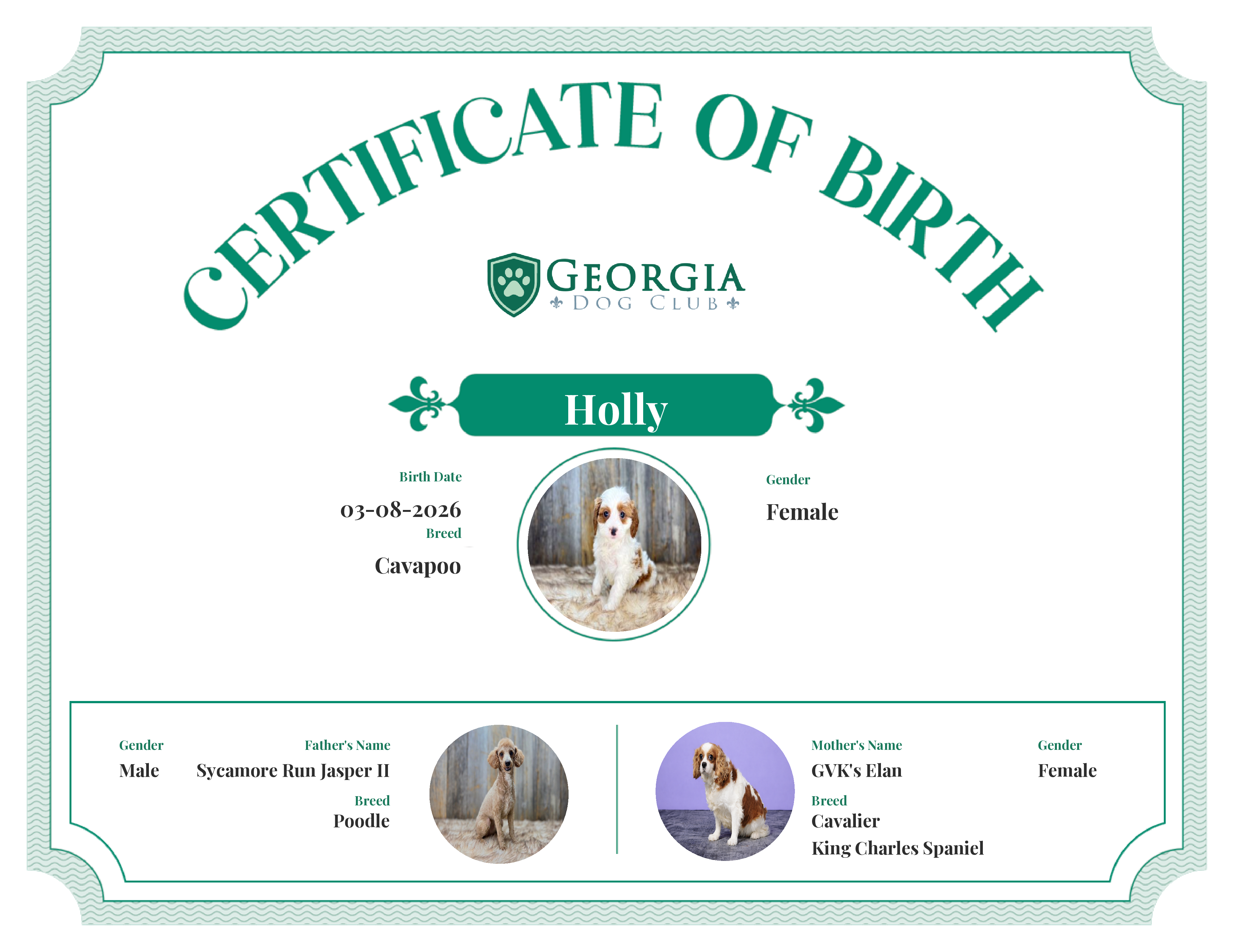 Holly's Birth Certificate